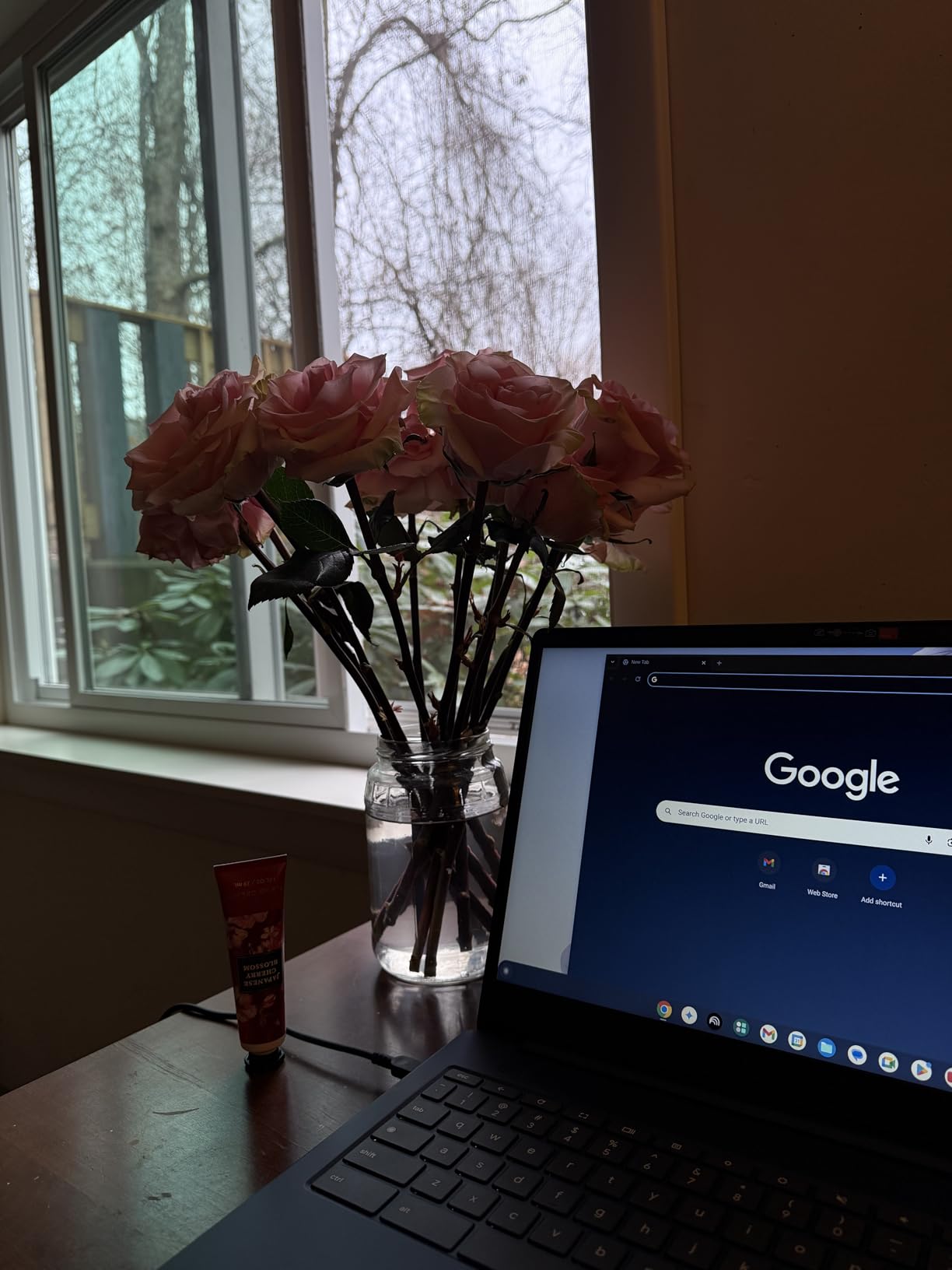Lenovo IdeaPad Slim 3 Chromebook - 2024 - Lightweight Laptop - Waves MaxxAudio Speakers - 14