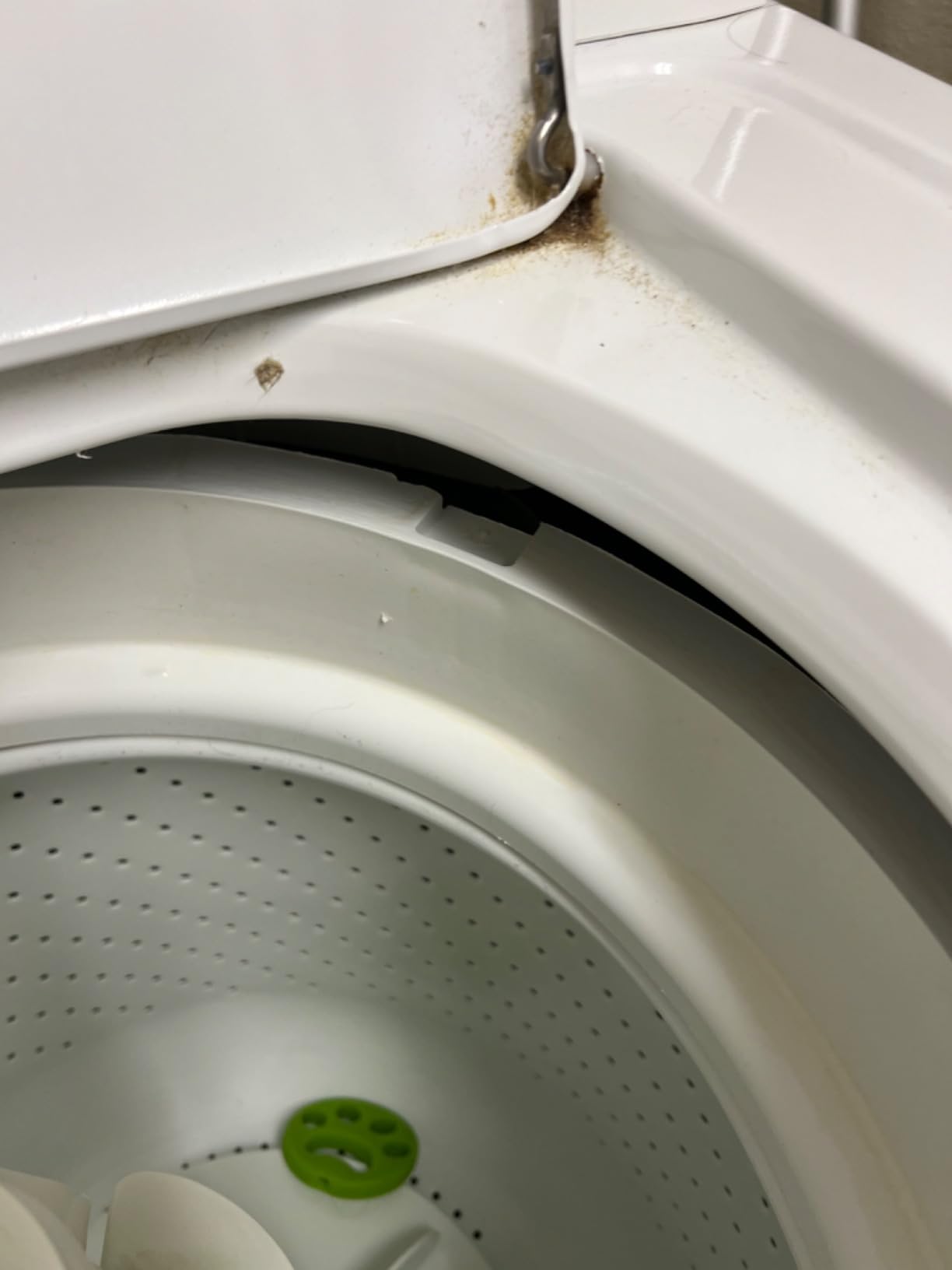 Amana NTW4516FW 3.5 Cu. Ft. White Top Load Washer - Customer Photo 3
