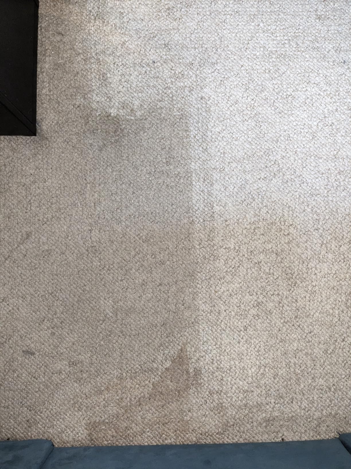 Hoover SmartWash+ Automatic Carpet Cleaner Machine customer photo 1