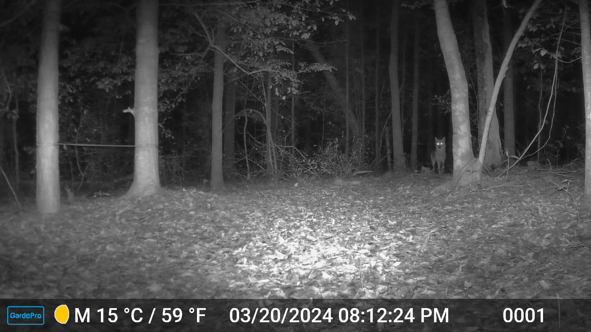 GardePro A3S Non-Cellular Trail Camera, 1296P HD Video with Sound customer photo 1
