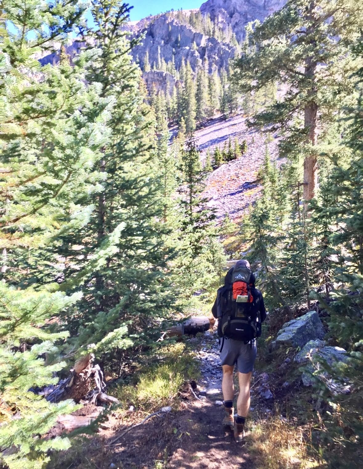 Teton 55L Scout Internal Frame Backpack for Hiking, Camping, Backpacking, Travel, Rain Cover Included, Olive customer photo 1
