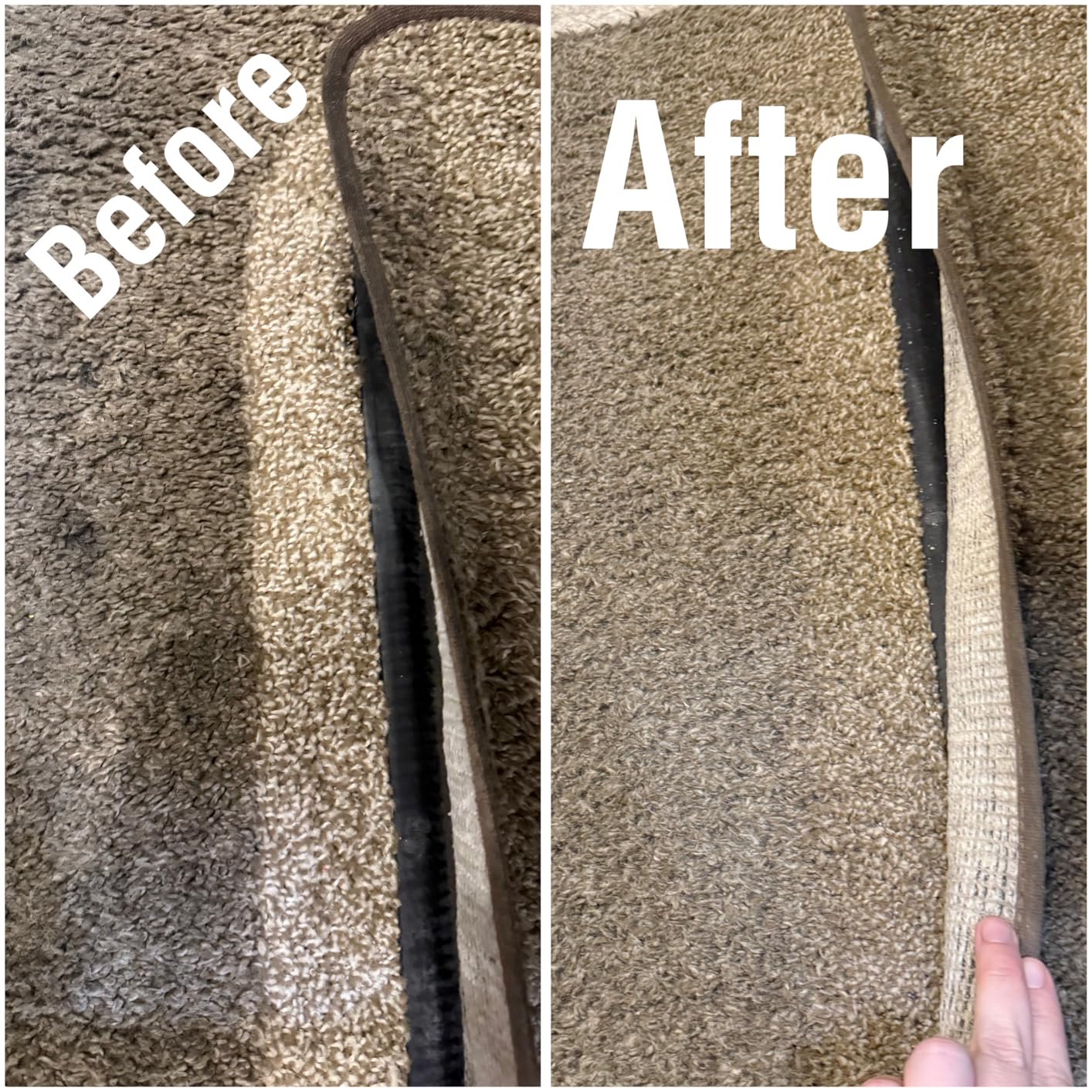 Shark StainStriker Portable Carpet/Upholstery Cleaner, 4 Tools, PX202BRN customer photo 1