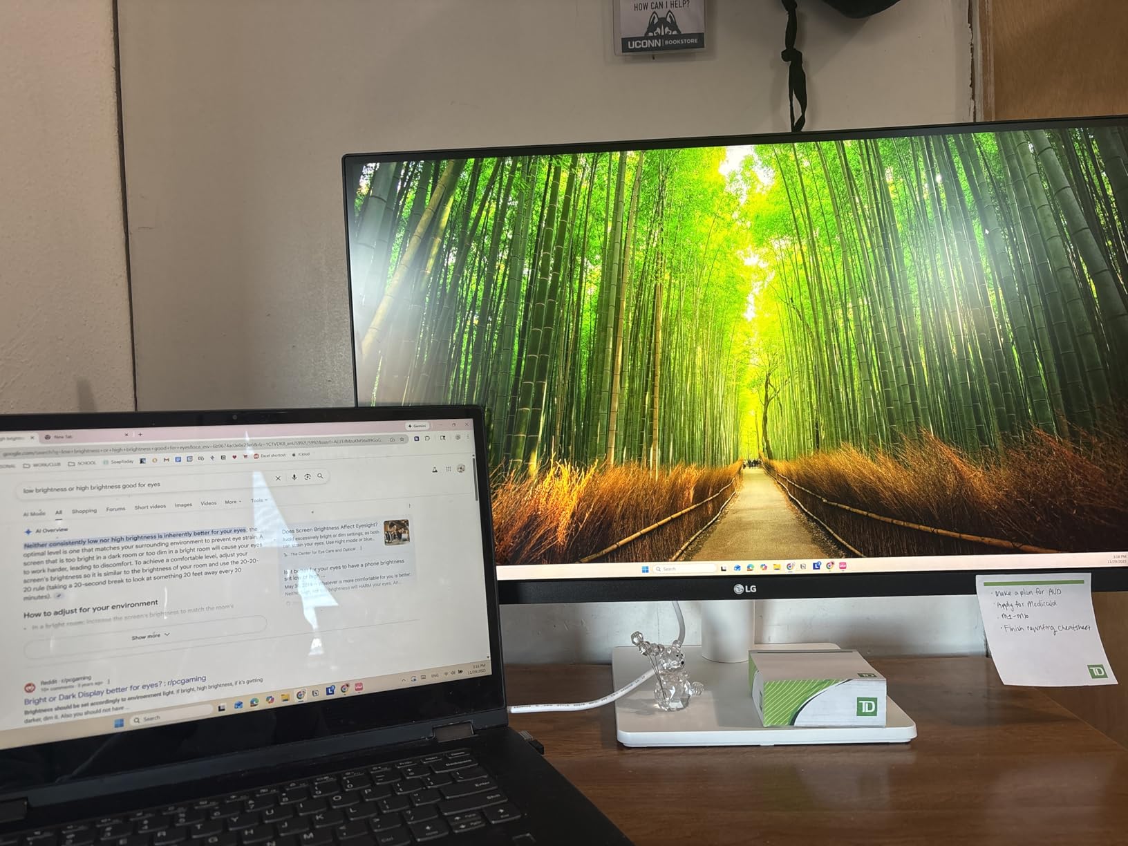 LG 27US500-W Ultrafine Monitor 27-Inch 4K UHD (3840x2160) HDR10 IPS Borderless Design Reader Mode Flicker Safe Switch App HDMI DisplayPort - White customer photo 1