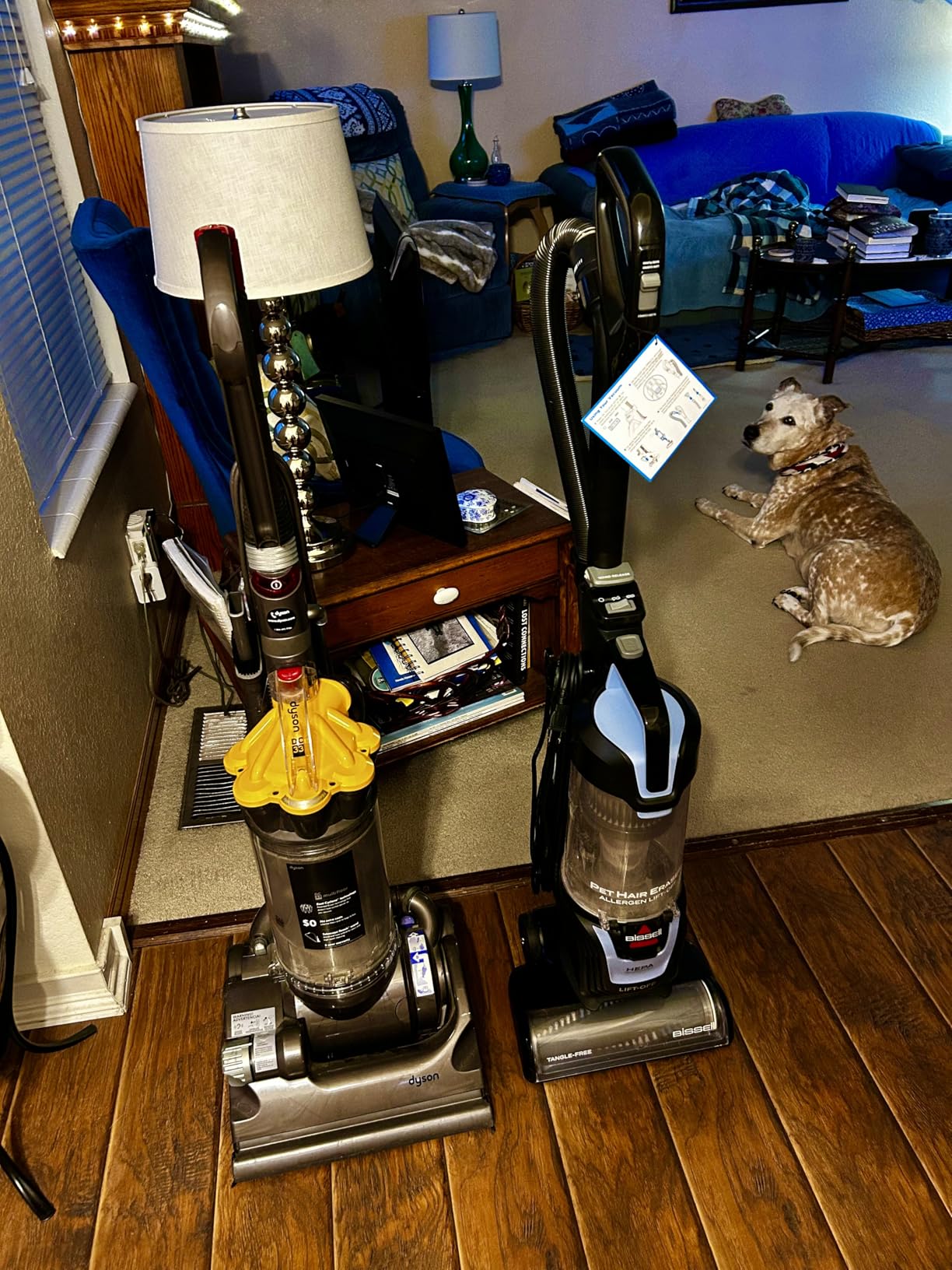 Bissell Pet Hair Eraser Allergen Lift-Off with Powerful Suction, HEPA, Tangle-Free Brush Roll, 39883 customer photo 1
