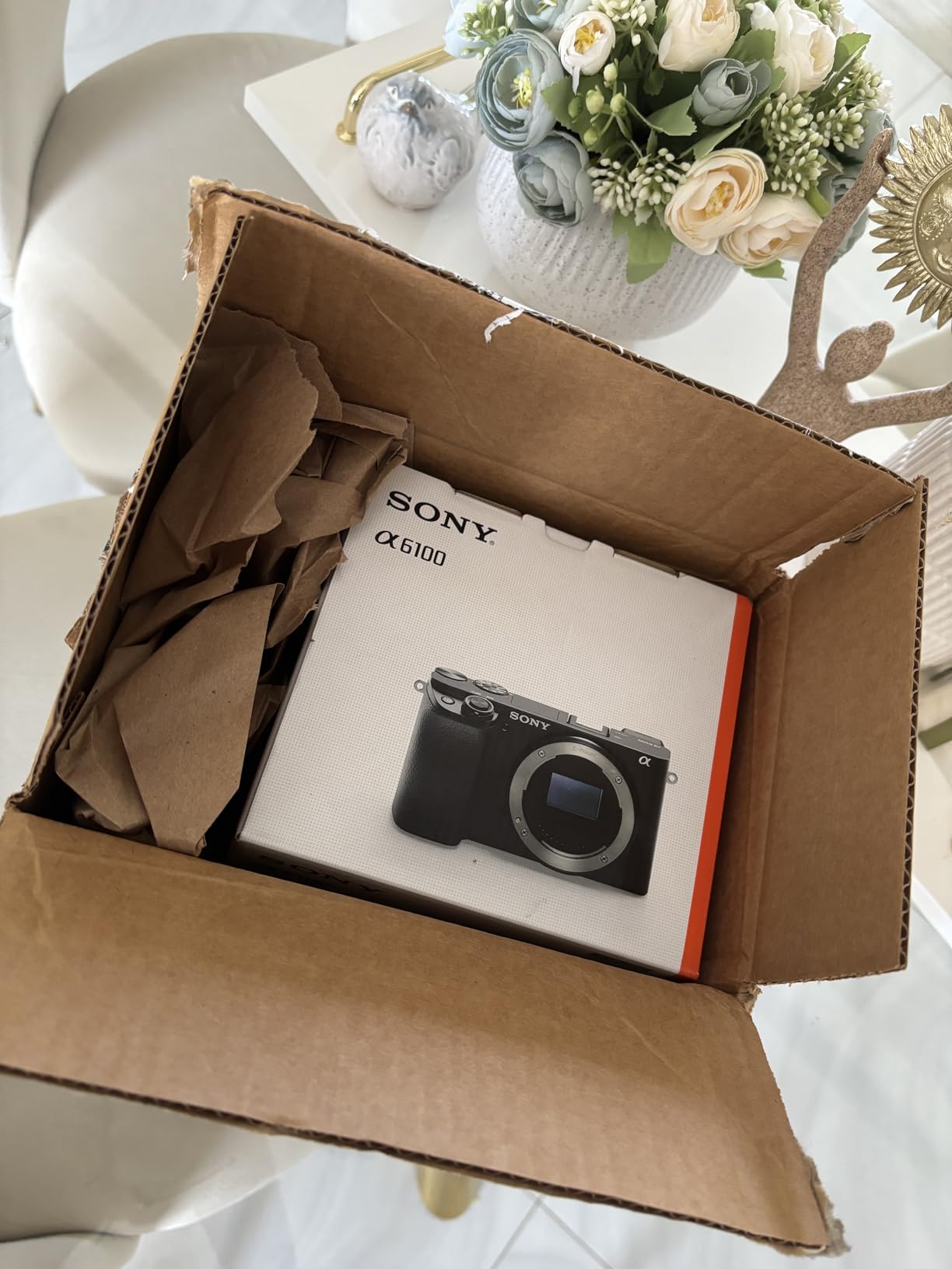 Sony Alpha a6100 w/ 16-50mm + 55-210mm Customer Review Sony Alpha a6100 w/ 16-50mm + 55-210mm - Customer Photo 1