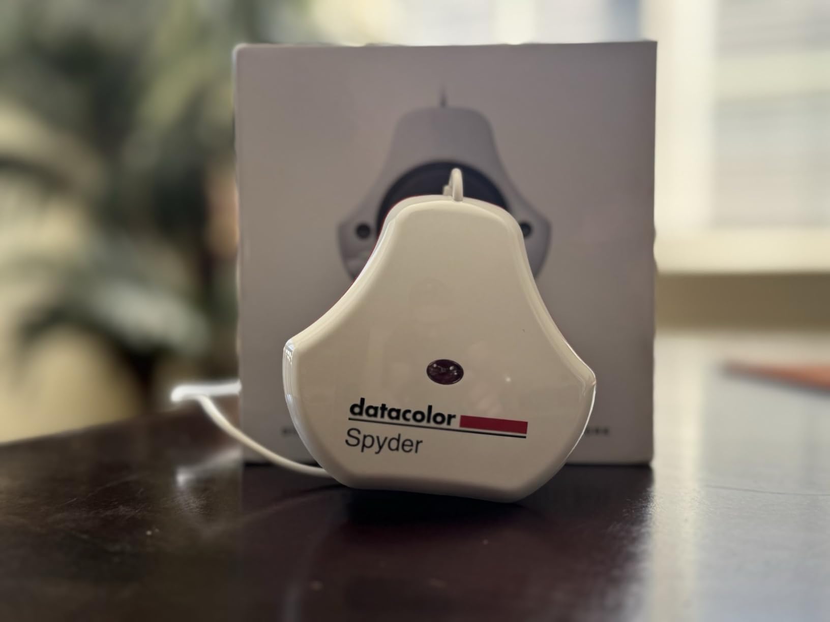 Datacolor SpyderExpress Customer Review Datacolor SpyderExpress - Customer Photo 2