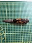 Morakniv Wood Carving Knife 120 Customer Review Morakniv Wood Carving Knife 120 - Customer Photo 3