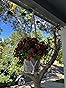 Mkono Macrame Plant Hanger Indoor Hanging Planter Basket with Wood Beads Decorative Flower Pot Holder No Tassels for Indoor Outdoor Boho Home Decor 35 Inch, Ivory, Set of 1 (POTS NOT Included) Customer Review Mkono Macrame Plant Hanger Indoor Hanging Planter Basket with Wood Beads Decorative Flower Pot Holder No Tassels for Indoor Outdoor Boho Home Decor 35 Inch, Ivory, Set of 1 (POTS NOT Included) - Customer Photo 1