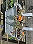 LaLaGreen Rail Planters for Outdoor (8 Pack, 11.2 Inch) White Metal Iron Hanging Flower Pots, Strawberry Planter Deck Railing Fence Bucket Modern Stylish Wall Mount Window Box Plant Holder Porch Decor Customer Review LaLaGreen Rail Planters for Outdoor (8 Pack, 11.2 Inch) White Metal Iron Hanging Flower Pots, Strawberry Planter Deck Railing Fence Bucket Modern Stylish Wall Mount Window Box Plant Holder Porch Decor - Customer Photo 2
