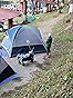 Coleman Sundome Camping Tent with Rainfly, 2/3/4/6 Person Tent Sets Up in 10 Mins, Weatherproof Shelter for Camping, Festivals, Backyard, Sleepovers, & More Customer Review Coleman Sundome Camping Tent with Rainfly, 2/3/4/6 Person Tent Sets Up in 10 Mins, Weatherproof Shelter for Camping, Festivals, Backyard, Sleepovers, & More - Customer Photo 1