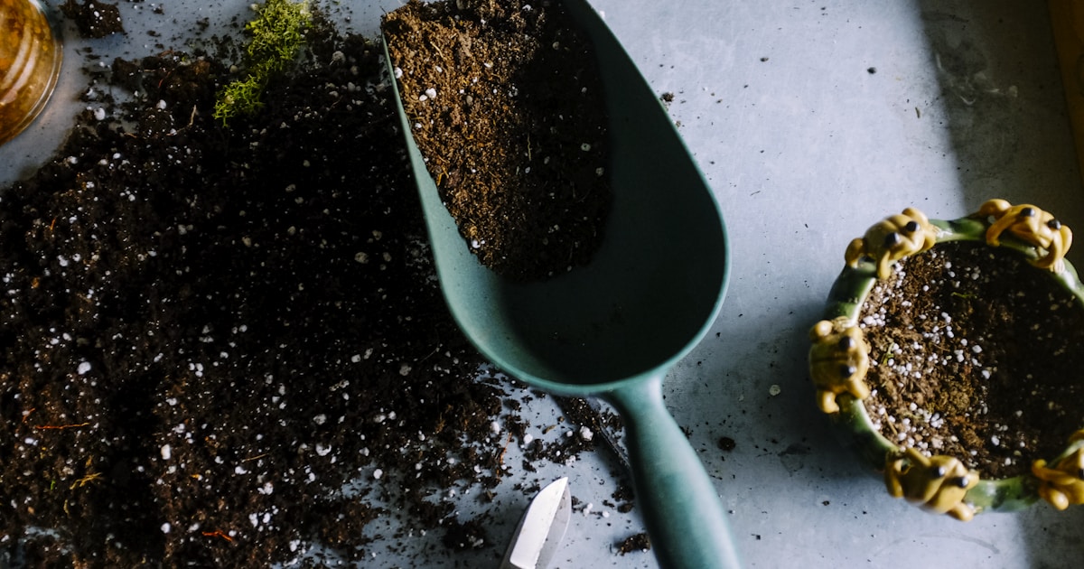 Best Automated Garden Watering Kits 2026: Expert Reviews & Buying Guide