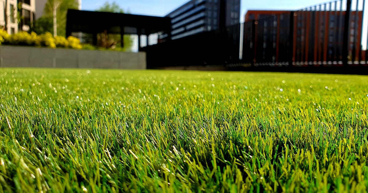 Best Impact Sprinklers for Coverage: Top 10 Tested for Large Areas