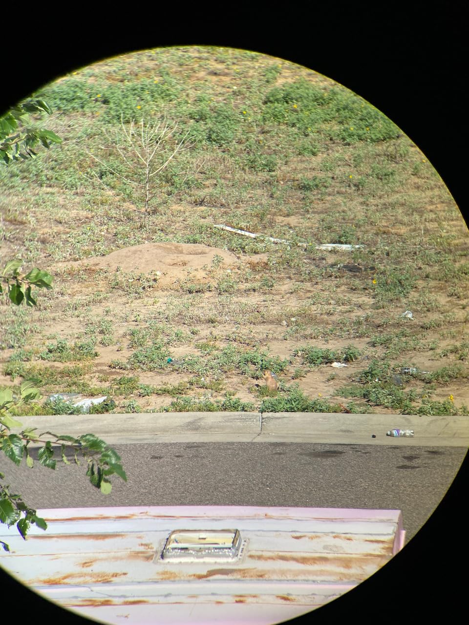 Vortex Razor HD Roof Prism Binoculars customer photo 1