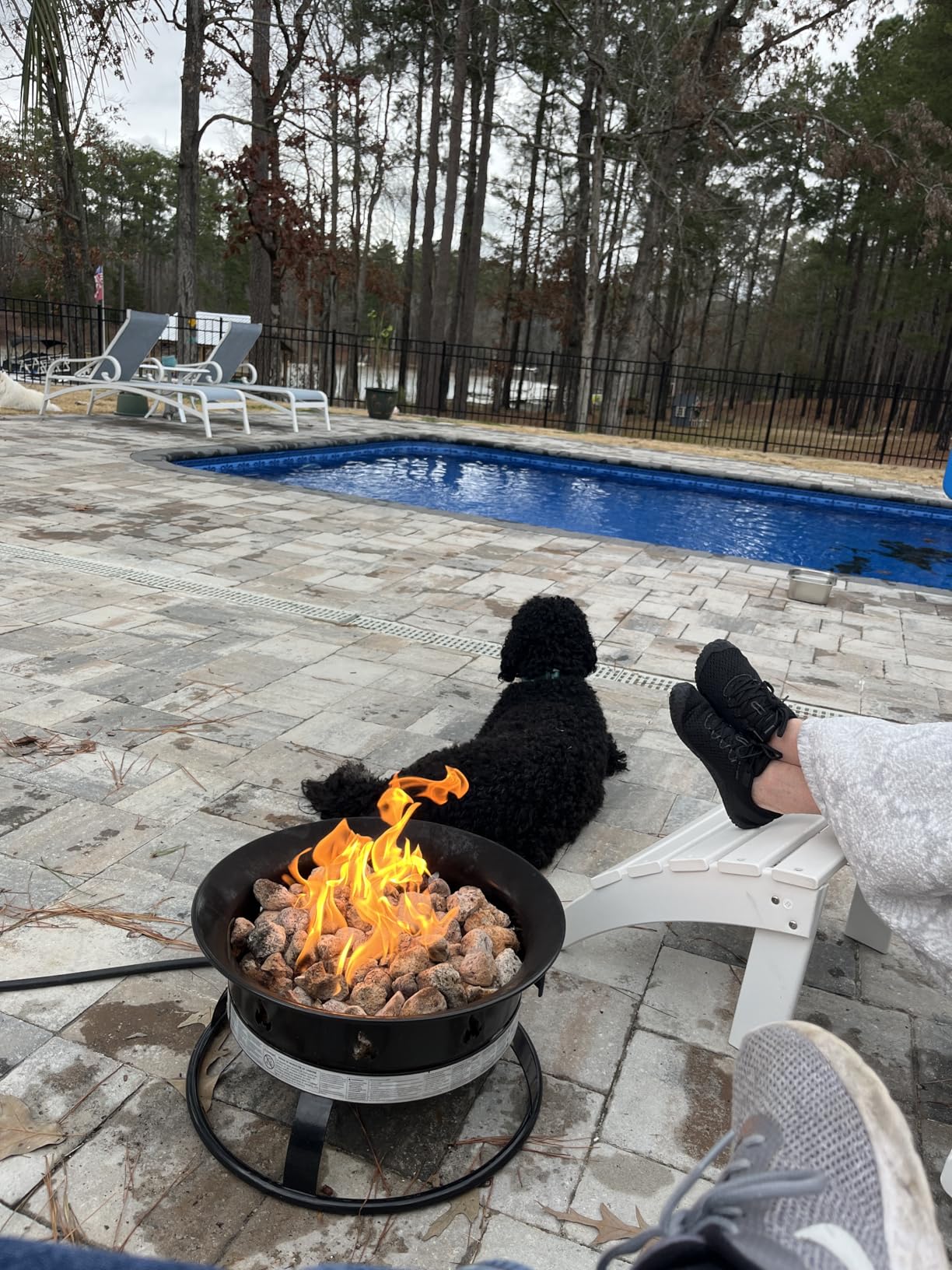 Outland Living Portable Propane Fire Pit, 19-inch, 58,000 BTU with Fire Pit Cover & Carry Kit, Smokeless Gas Firebowl | Perfect for Camping, Patio, Backyard, Tailgating, Deck, RV| Black 893 Deluxe customer photo 1