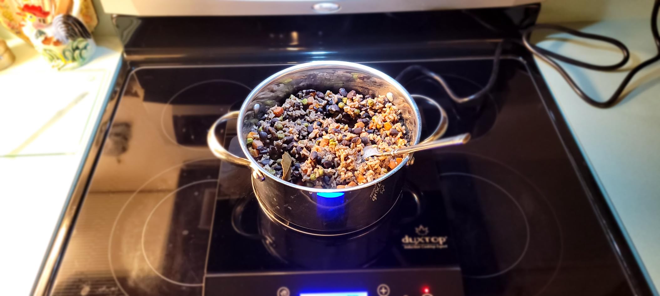 Duxtop Portable Induction Cooktop Burner, Induction Hot Plate with LCD Sensor Touch 1800 Watts, Silver 9600LS/BT-200DZ customer photo 1