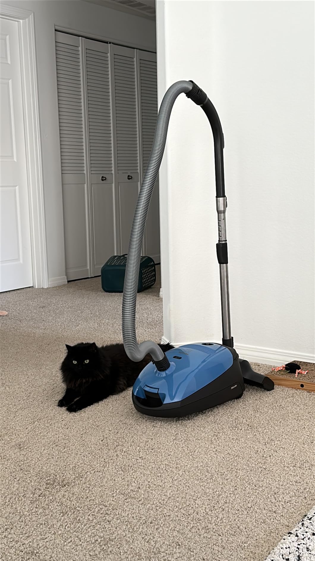 Miele Classic C1 Turbo Team Bagged Canister Vacuum with TurboBrush Floorhead customer photo 2