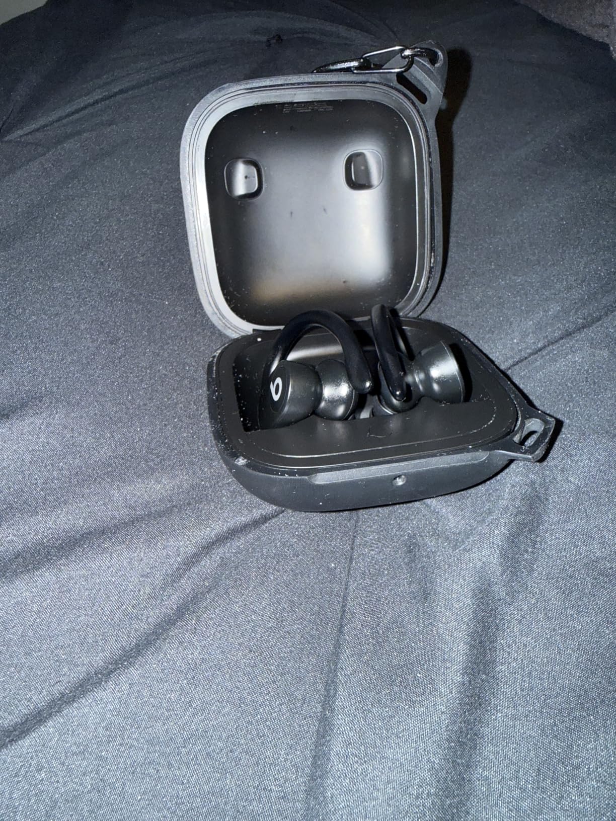 Powerbeats Pro Wireless Earbuds - Apple H1 Headphone Chip, Class 1 Bluetooth Headphones, 9 Hours of Listening Time, Sweat Resistant, Built-in Microphone - Ivory customer photo 1