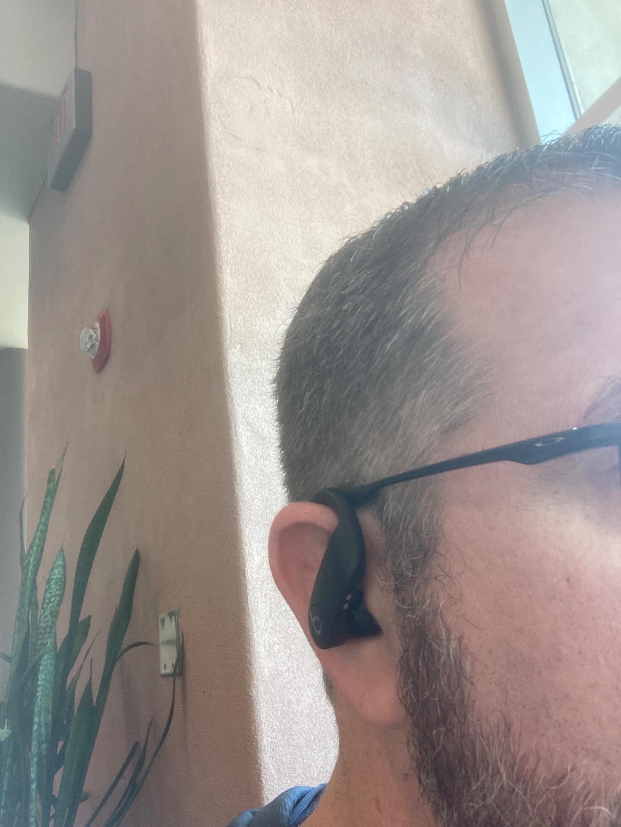 Powerbeats Pro Wireless Earbuds - Apple H1 Headphone Chip, Class 1 Bluetooth Headphones, 9 Hours of Listening Time, Sweat Resistant, Built-in Microphone - Ivory customer photo 2