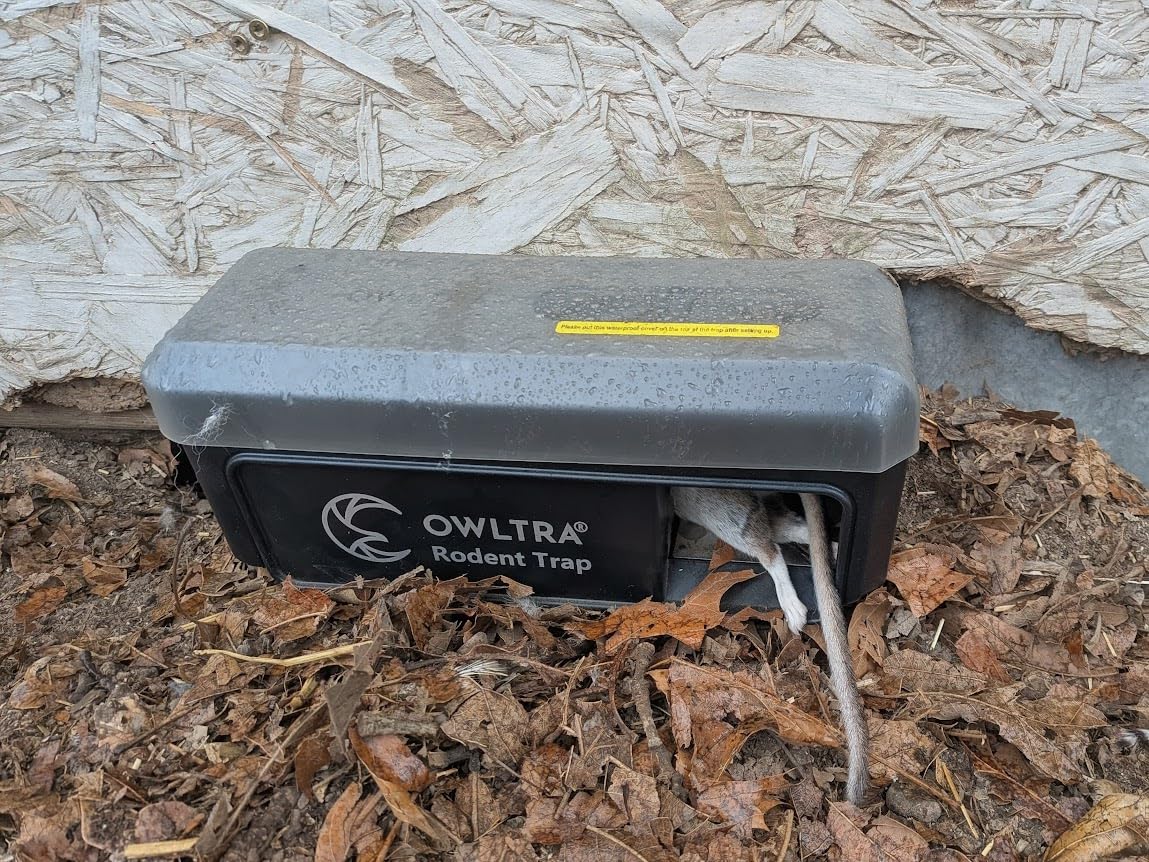 OWLTRA OW-5 Ultrasonic Rodent Repellers 4 Pack, Effectively Repel Rodents While 100% Silent & Safe to Humans and Non-Rodent Pets, White customer photo 2