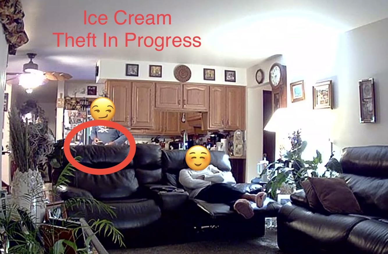 Ring Indoor Cam, Home or business security in 1080p HD video, White customer photo 2