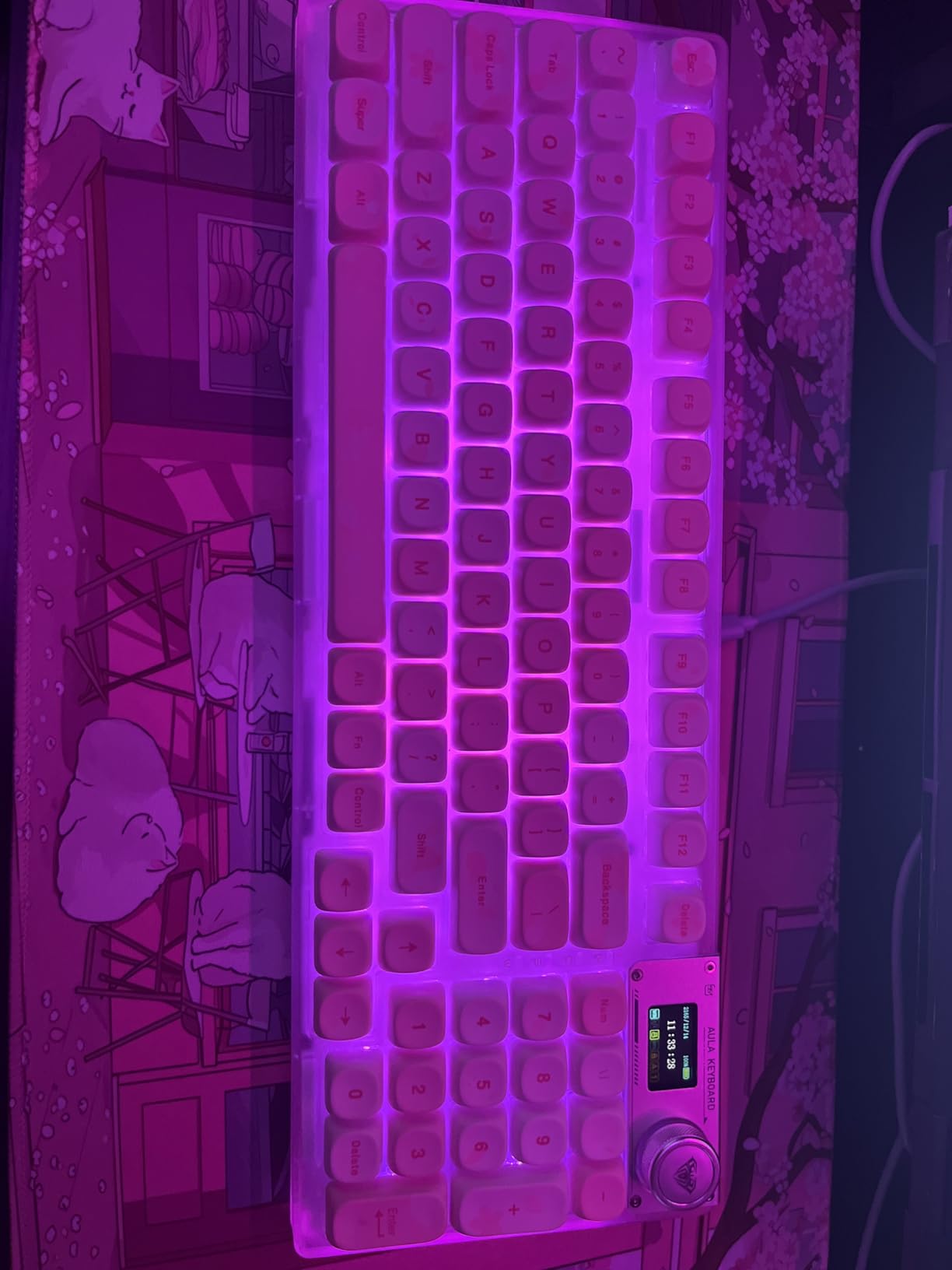 F98 Pro 95% Hot-Swappable Mechanical Keyboard - Transparent Keycaps, RGB Backlit Gaming Keyboard, Tri-Mode BT5.0/2.4G/USB-C, OLED Display, 4000mAh Battery, Pink customer photo 2