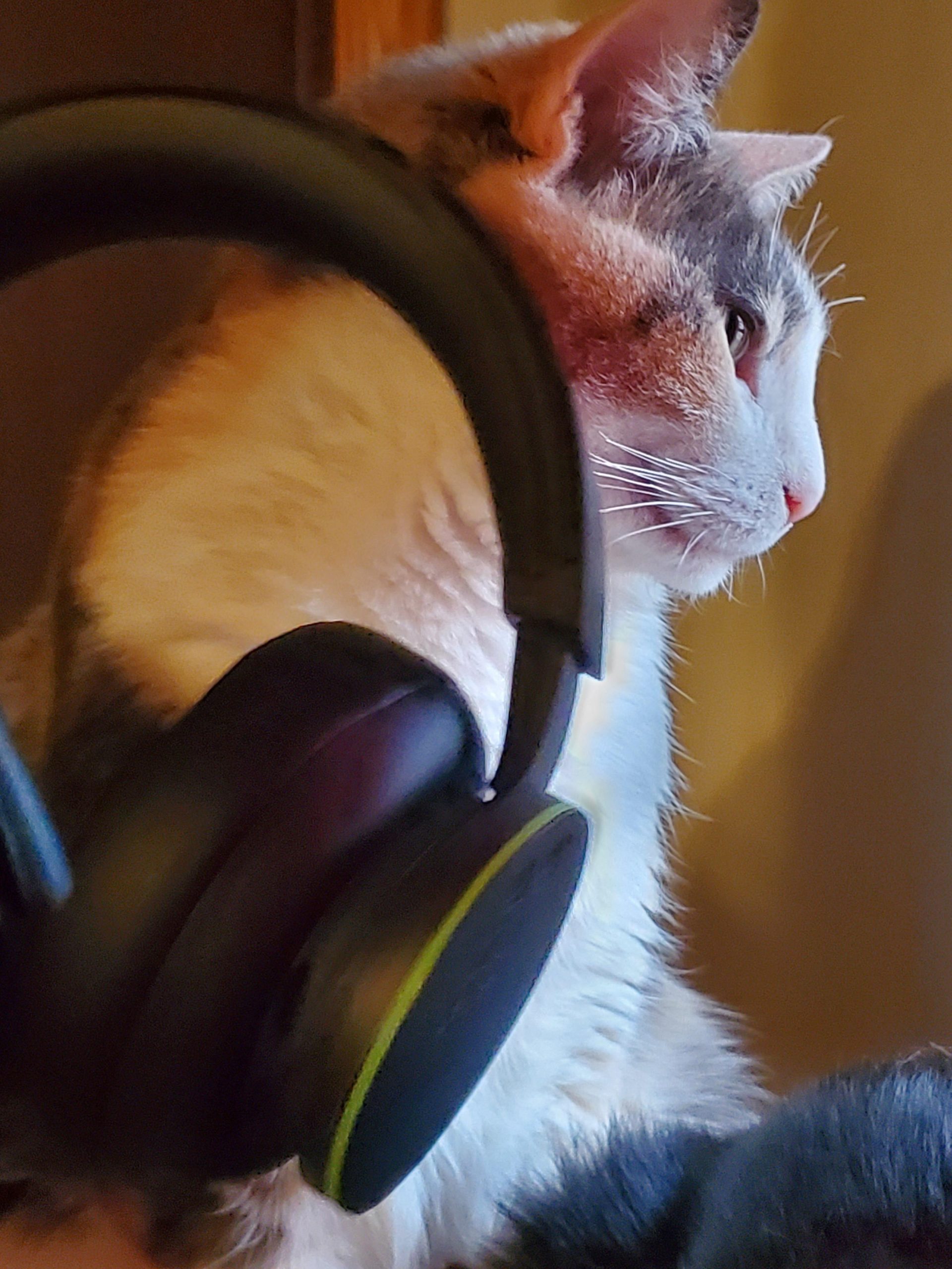 Xbox Wireless Headset customer photo 1