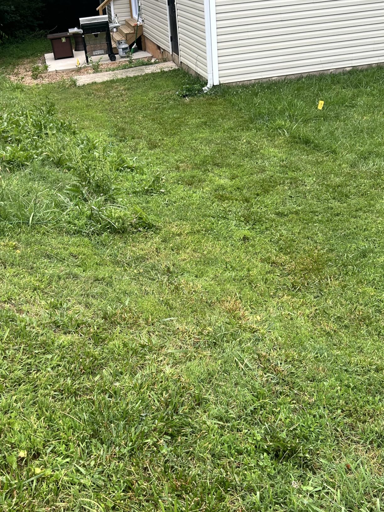 LawnMaster MEB1114K Electric Corded Lawn Mower 15-Inch 11AMP customer photo 2