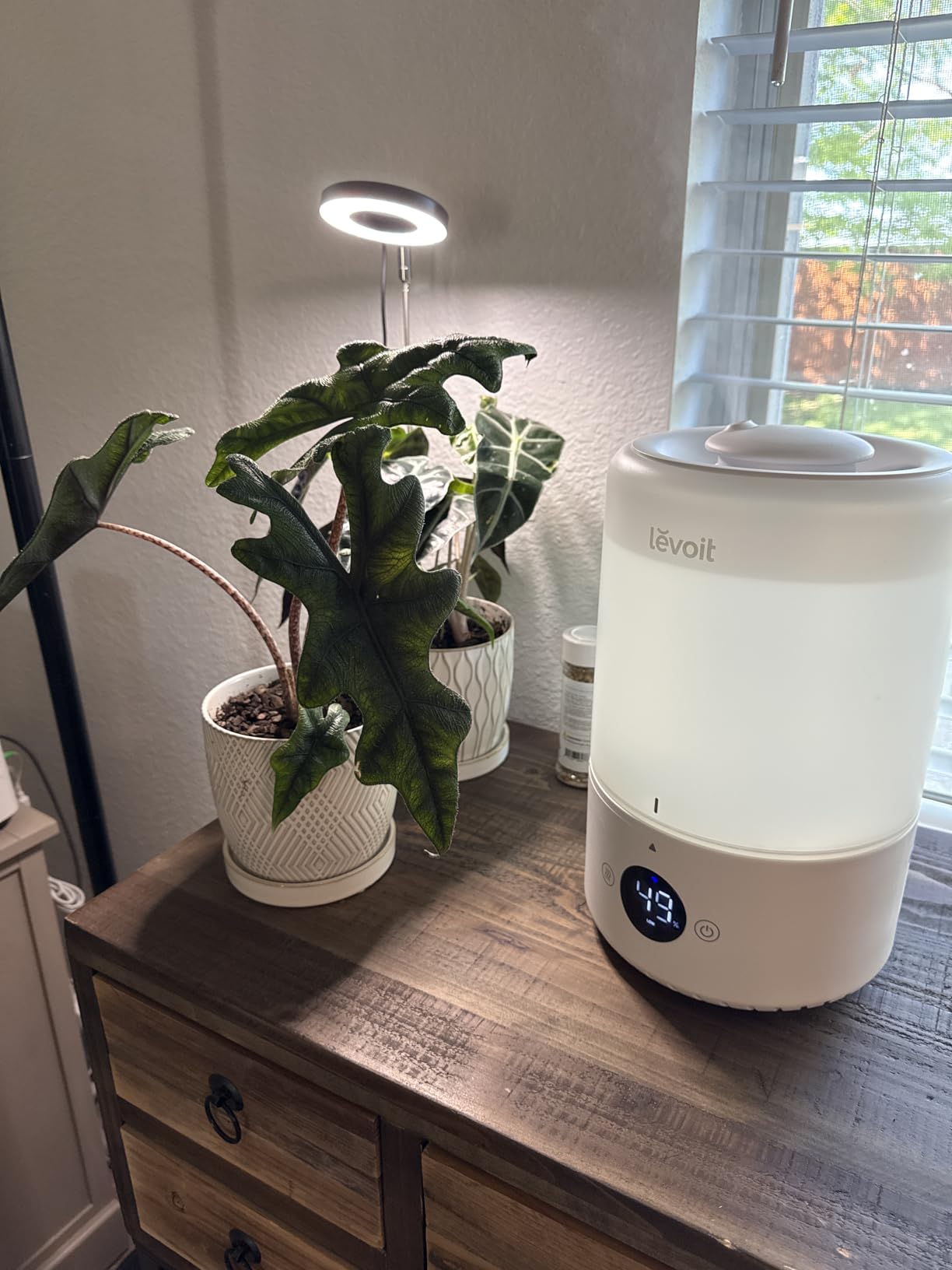 LEVOIT Smart Cool Mist Top Fill Humidifiers for Bedroom with Sensor, Auto Humidity Setting, APP & Voice Control, Essential Oil Diffuser, Ultra Quiet Operation, Super Easy Top Fill, 3L, White customer photo 2