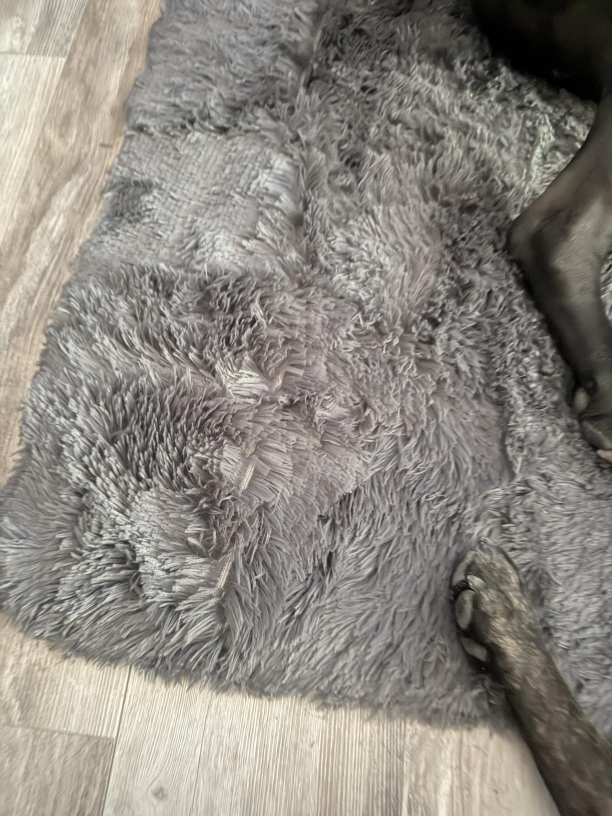 OLANLY Area Rugs for Living Room Bedroom, Machine Washable 4x5.9 ft Soft Fluffy Shaggy Bedside Rug, Indoor Floor Carpet for Kids Girls and Boys, Dorms, Nursery Rooms, Home Decor Aesthetic, Grey customer photo 2
