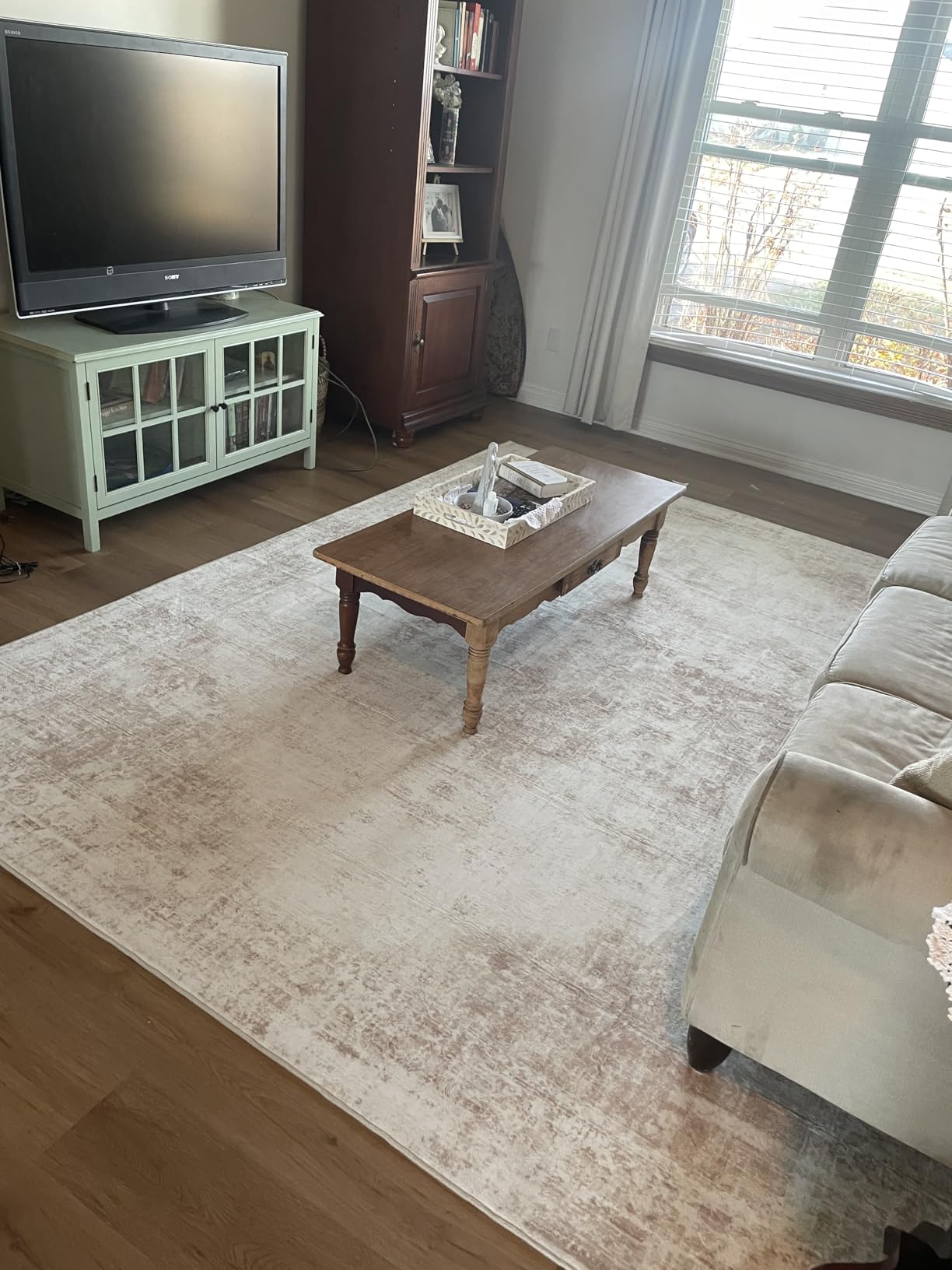 Area Rug 8x10 Washable Rug, Vintage Boho Medallion Rugs Non-Slip Soft Low Pile Large Distressed Rug Indoor Retro Carpet for Living Room Bedroom Dining Room Office Children's Room(Beige, 8'x10') customer photo 1