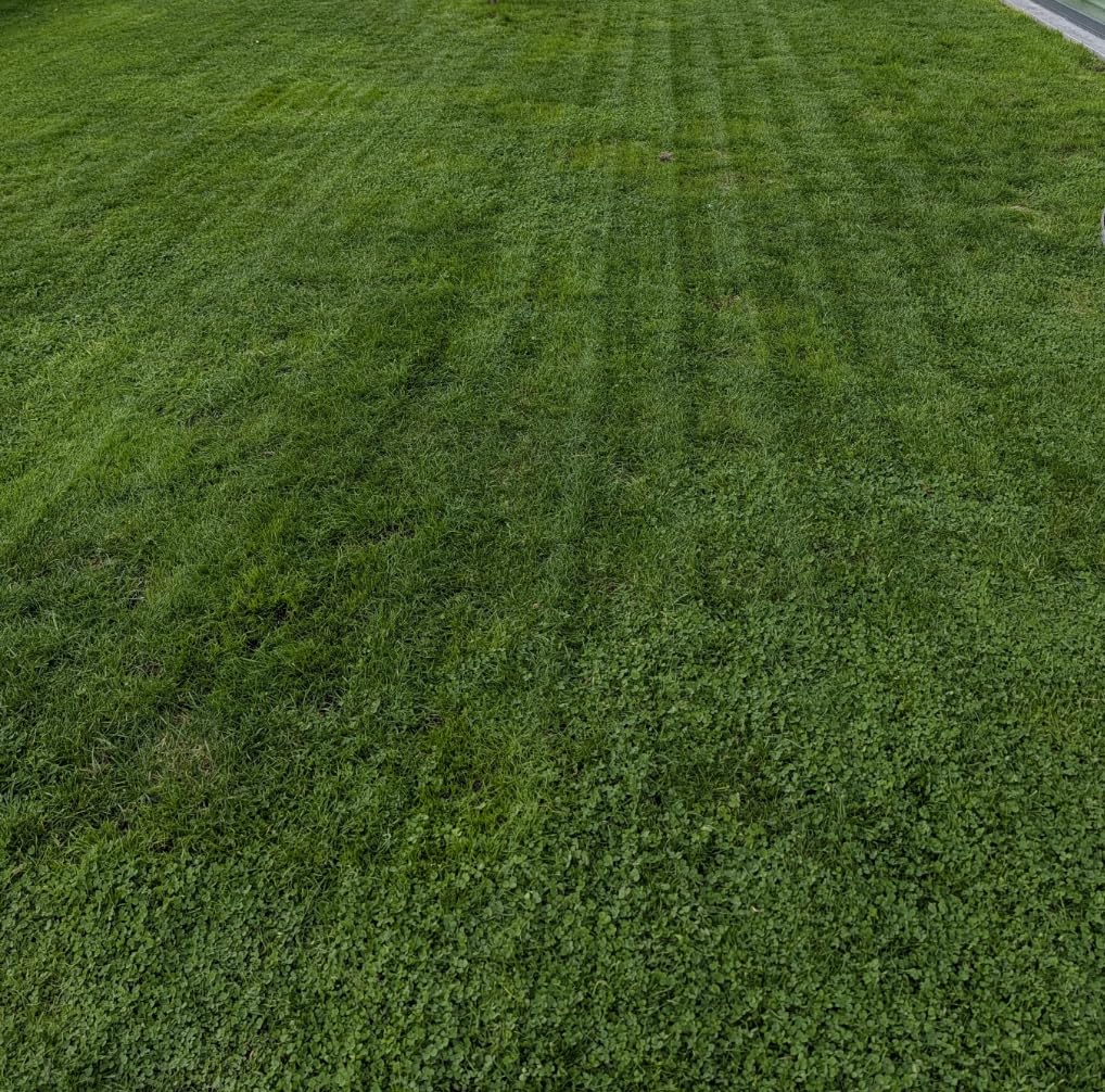 LiDAX Ultra 1000 Robot Lawn Mower Wire Free for 1/4 Acre, RTK-Free+360 Degree 3D LiDAR+AI Vision Auto Mapping, Zero-Edge Cutting, Cutting Height 1.2-3.9 inch, 45% Slope, Up to 150 Managed Zones Dual Maps customer photo 2