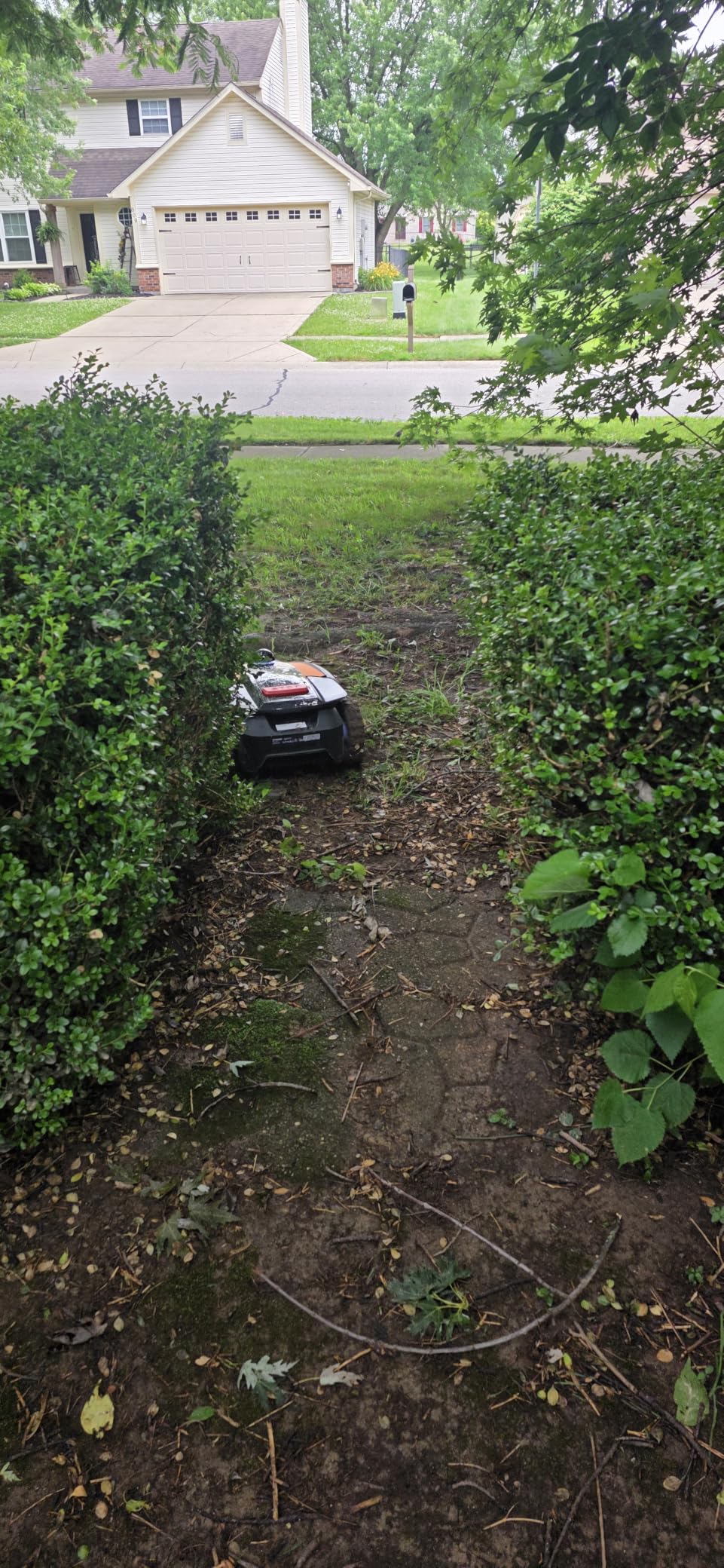 Sunseeker S4 LiDAR Robot Lawn Mower for Up to 0.25 Acre (1000 m2), Vision AI + 360 Degree 3D LiDAR Navigation, Wire-Free Virtual Boundary, Systematic Cutting, 42% Slope, App Control, 60 dB Quiet Mowing customer photo 2
