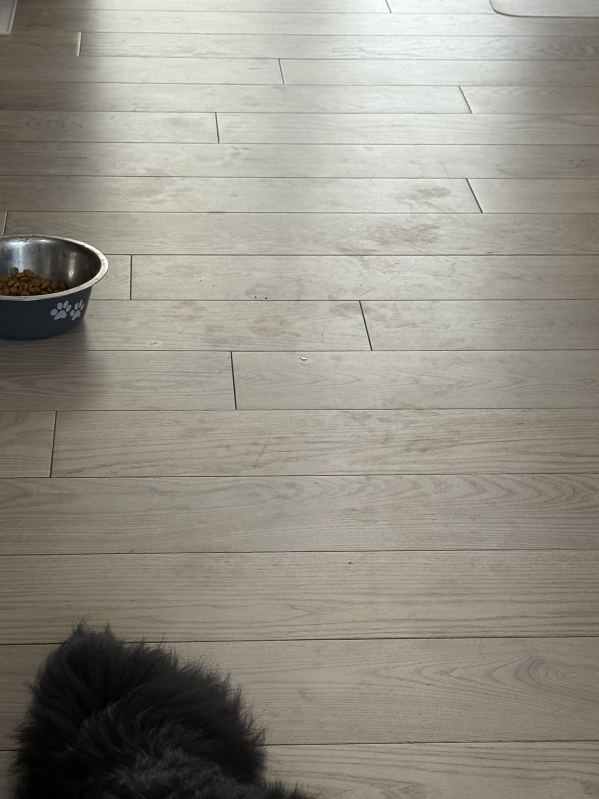 Roomba 705X Robot Vacuum & Mop Combo, 175x More Suction, Extending Self-Cleaning Roller Mop, Multifunction Dock, 75 Day AutoEmpty, Hot Wash/Dry, AI Smart Obstacle Avoidance, Ideal for Pet Hair customer photo 1