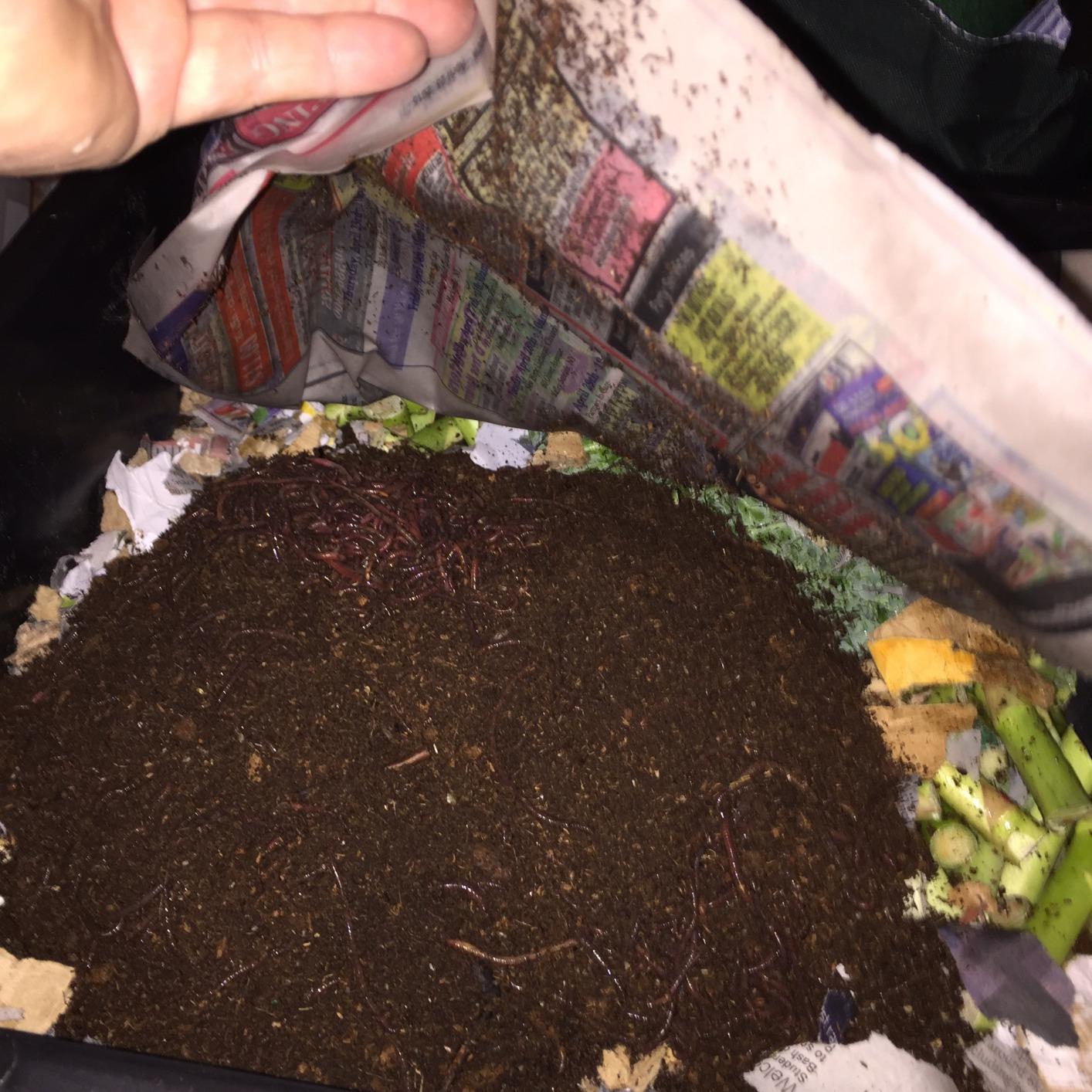 Worm Factory 360 Black US Made Composting System for Recycling Food Waste at Home - 4 Trays for Efficient Vermicomposting - Durable, Space-Efficient Design, Easy to Assemble, No Odor customer photo 2