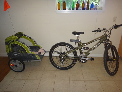 Instep Sync Single Seat Bike Child Trailer, Max Weight 40 lbs., 5-Point Harness, Folding Frame, Quick Release Wheels, Easy Storage, Bug Screen & Weather Shield, Green/Grey customer photo 1