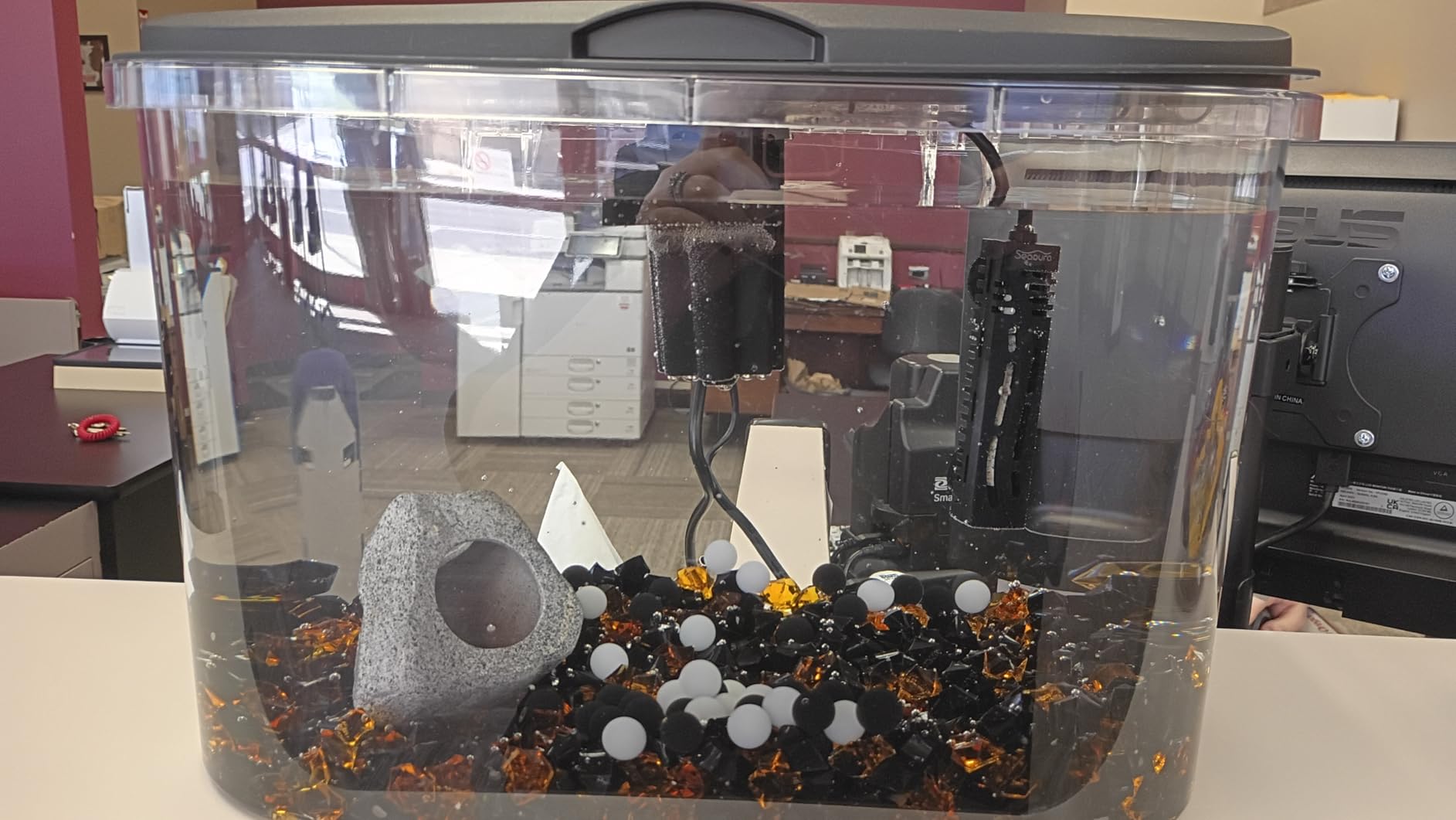 Koller Products 5-Gallon Aquarium Kit with LED Lighting and Power Filter, Ideal for a Variety of Tropical Fish customer photo 1