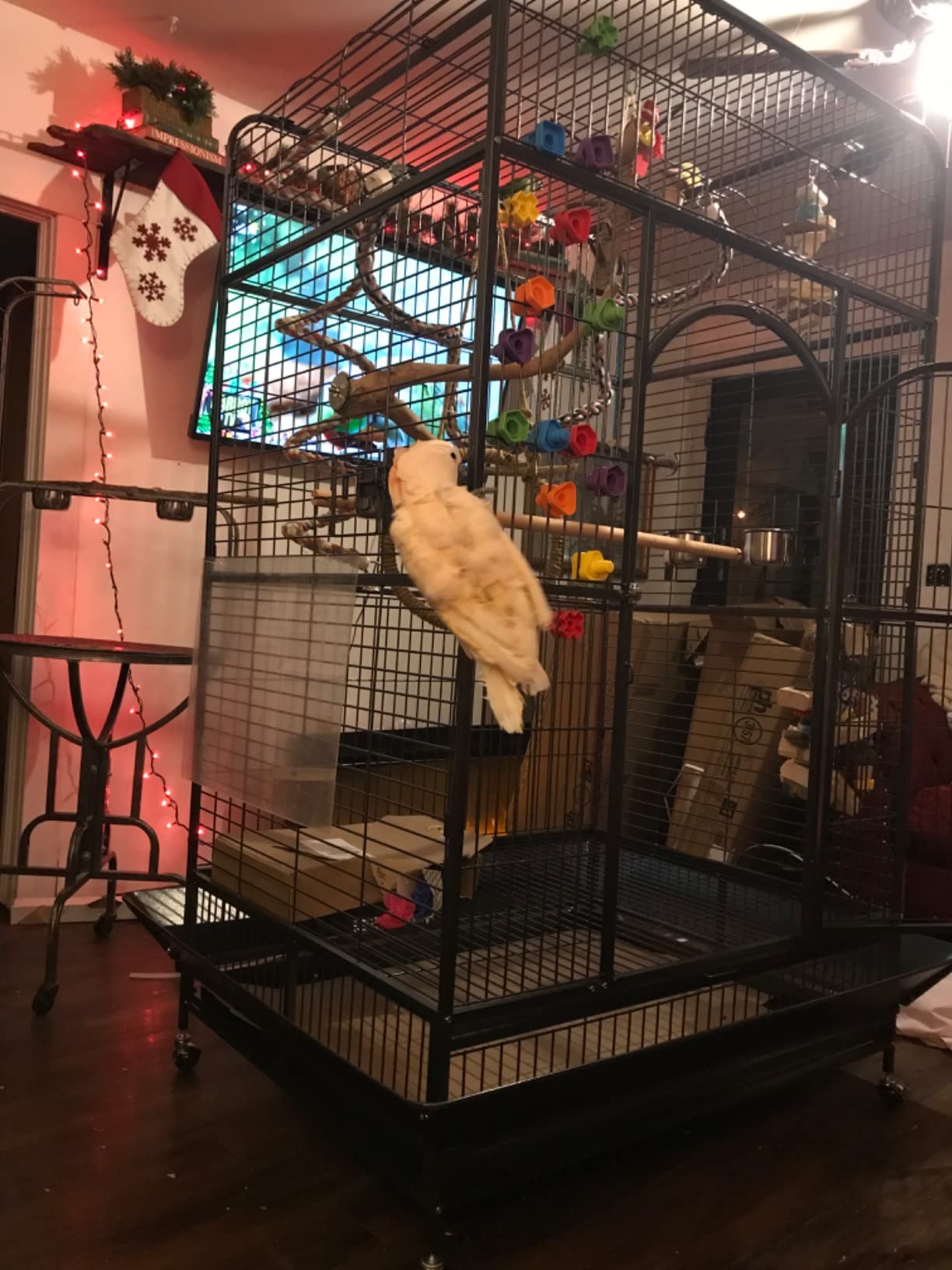 Prevue Pet Products Empire Bird Cage, X-Large, Black Hammertone, 46