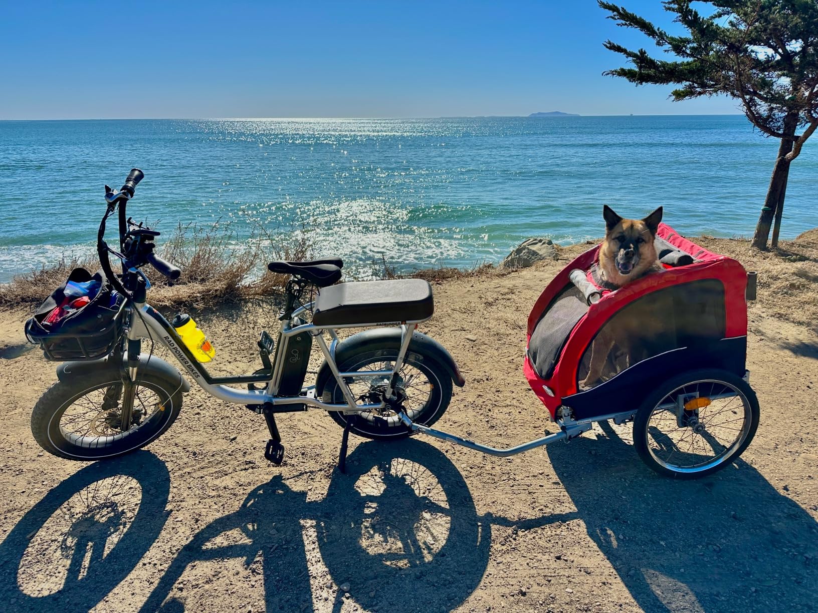 Best Choice Products 2-in-1 Dog Bike Trailer, Pet Stroller Bicycle Carrier w/Hitch, Suspension, Visibility Flag and Reflectors, 66lb Weight Capacity customer photo 1