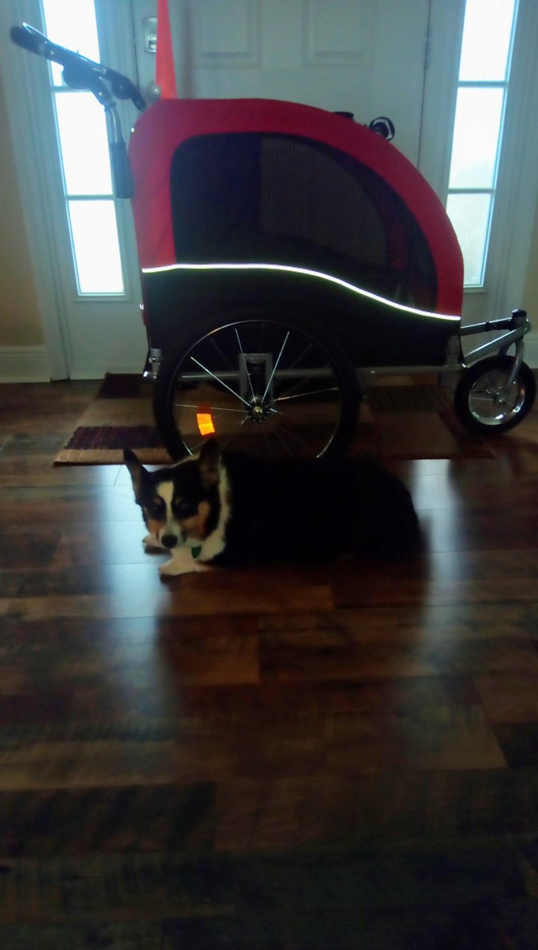 Best Choice Products 2-in-1 Dog Bike Trailer, Pet Stroller Bicycle Carrier w/Hitch, Suspension, Visibility Flag and Reflectors, 66lb Weight Capacity customer photo 2
