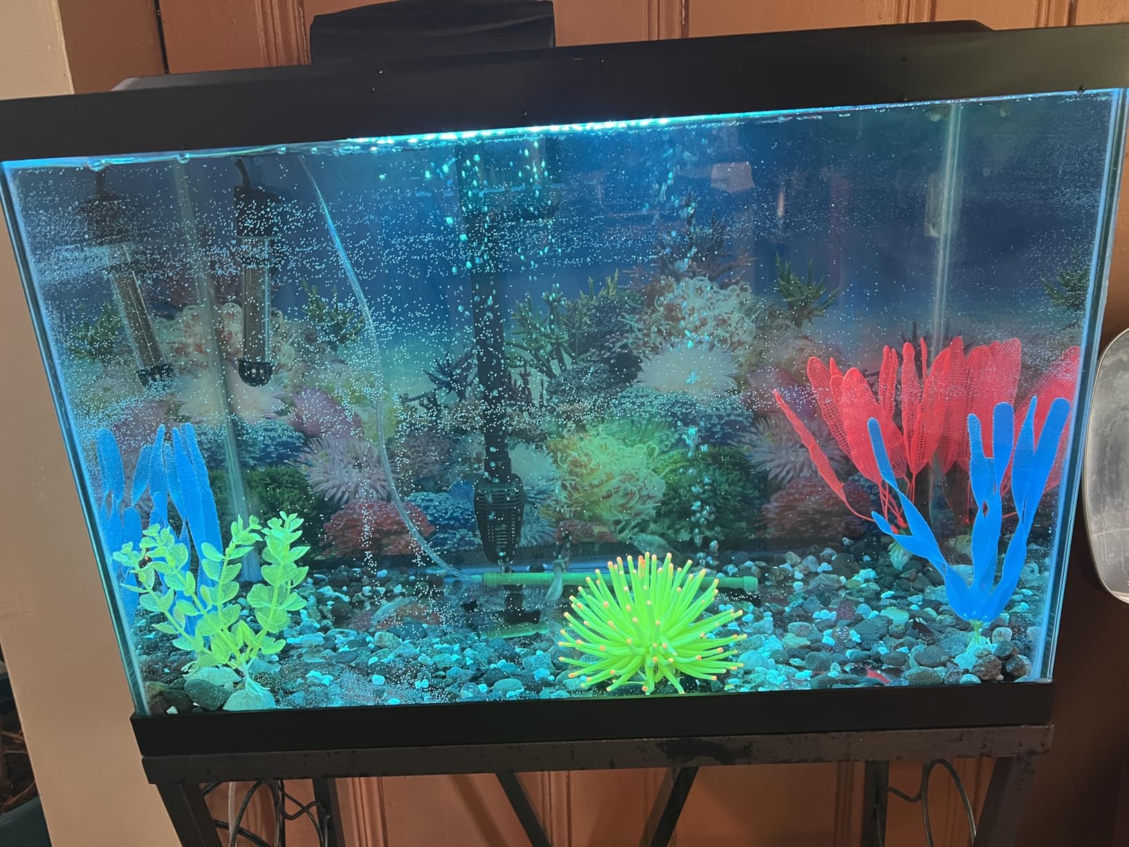 Tetra 20 Gallon Complete Tropical Fish Tank Kit | Aquarium Kit Includes LED Light, 20 Gallon Glass Tank With Hinged Hood, Filter, Filter Cartridge, Décor, For Freshwater Fish customer photo 1