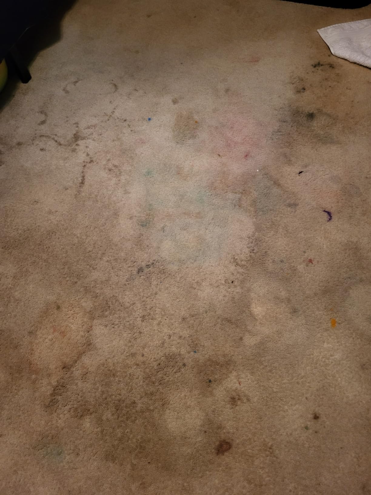 Koblenz Shampooer and Polisher Cleaning Machine, Floor Cleaner with 1100-rpm Motor customer photo 1