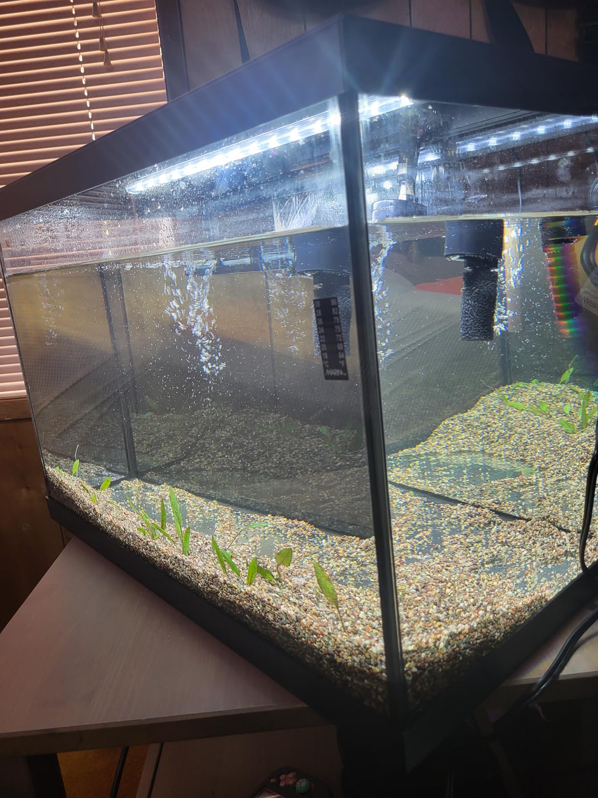 Marina 5 Gallon (19 L) LED Aquarium Kit | Ideal for Beginner Aquarists and New Fish-Keepers customer photo 1