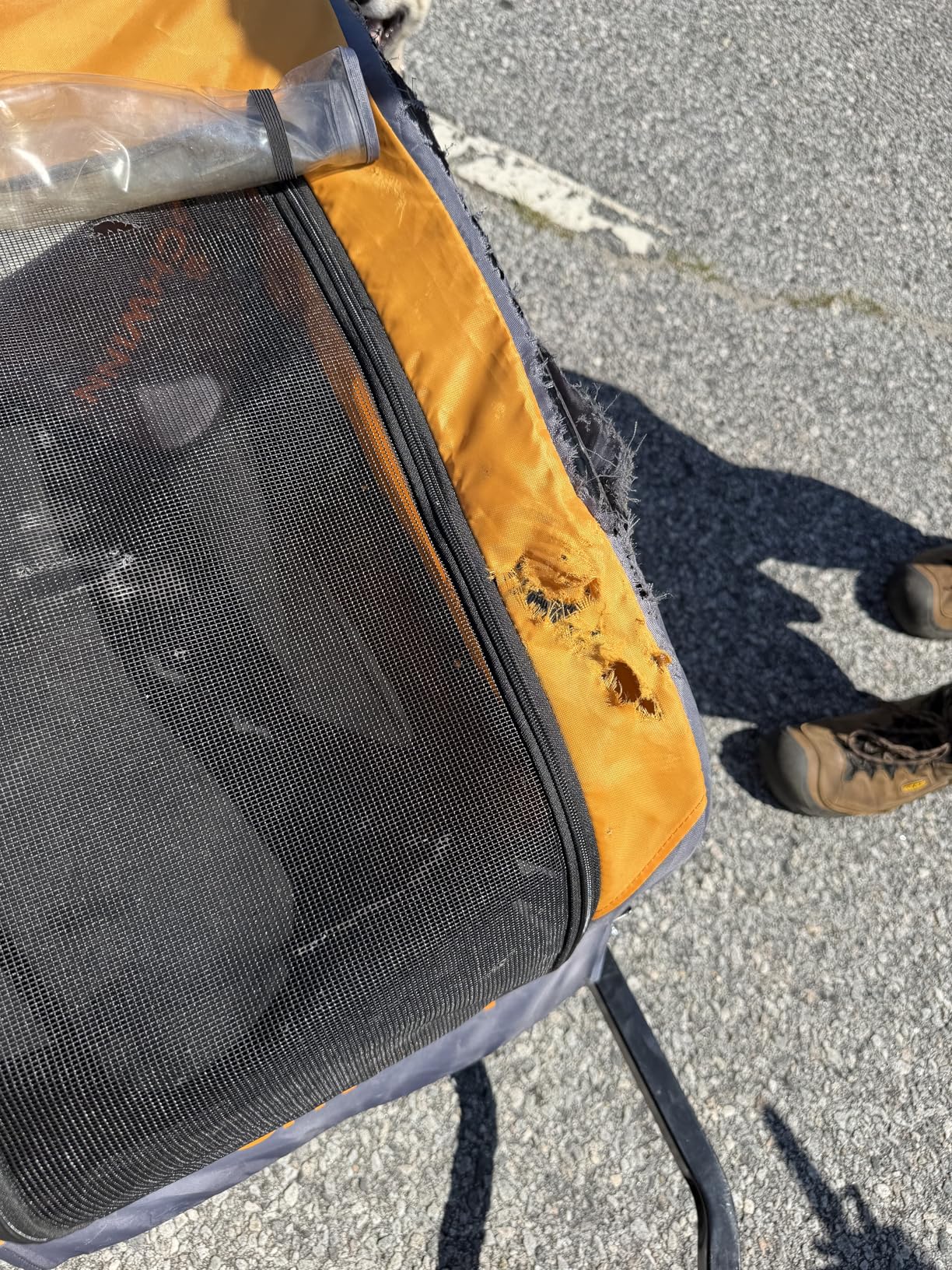 Schwinn 13-SC315 Rascal Bike Pet Trailer, For Small and Large Dogs, Lightweight, Tow with Bicycle, Up to 50 lbs. Small, Orange/Grey customer photo 1