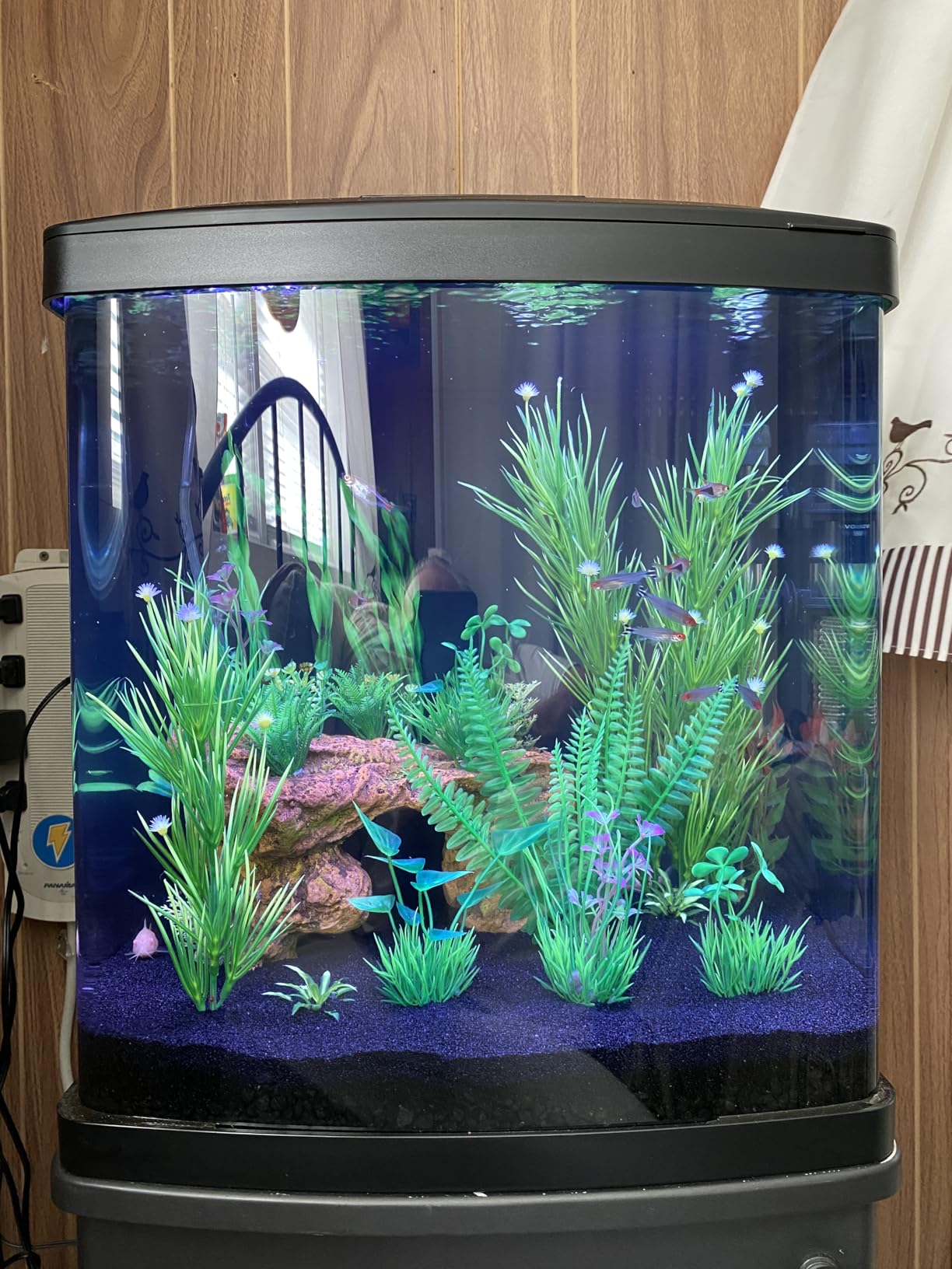 Coralife LED Biocube Aquarium Starter Kit, 16 Gallon Tank for Beginners | Start a reef tank. Cube aquarium with LED hood. Fish tank with filter, pump, 24-hour timer customer photo 1