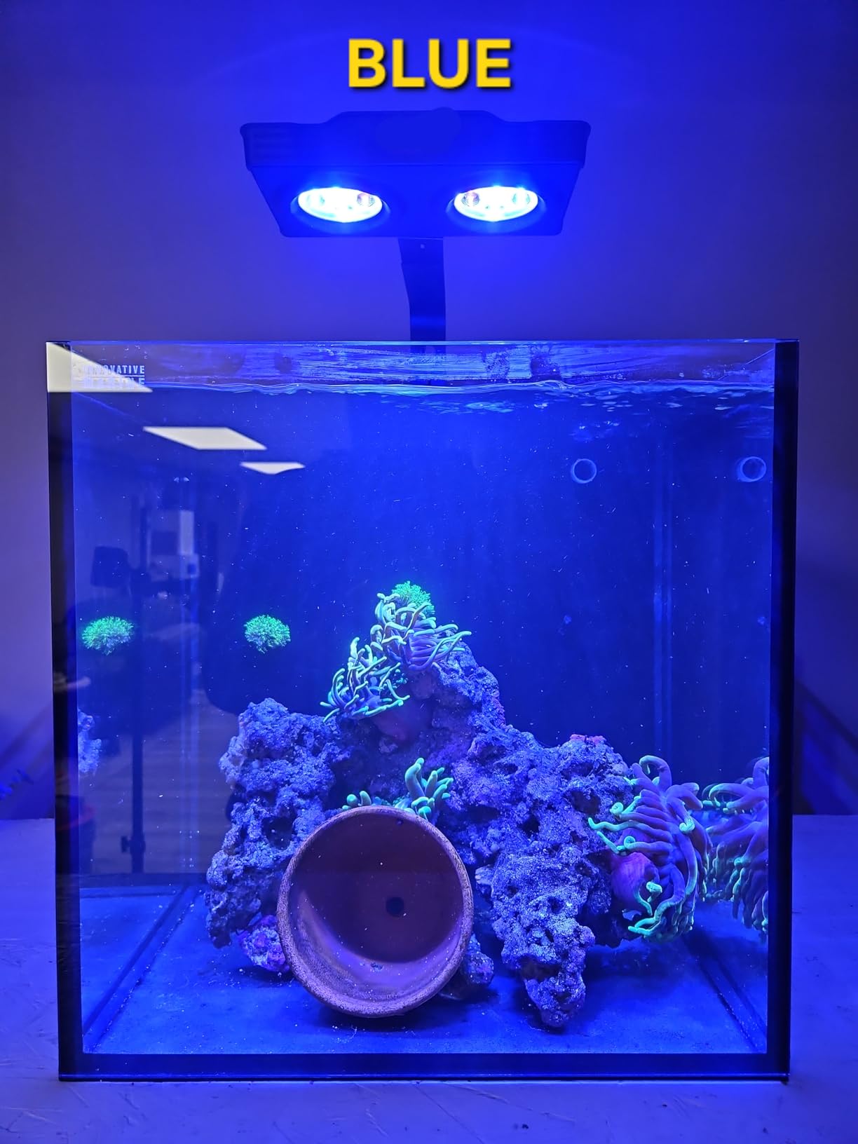 5rd AquaKnight A029 Aquarium LED Light 30 Watts Saltwater Light with Sunrise Sunset Moonlight, 5W LED Chips for Coral Reef Nano Fish Tank Marine Tanks with Timer & Screen customer photo 1