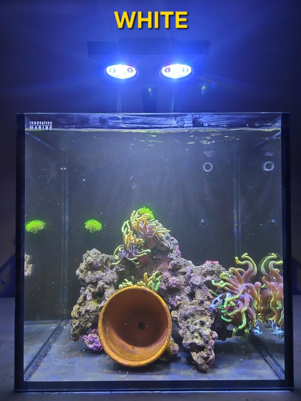 AquaKnight A029 Aquarium LED Light 30 Watts Saltwater Light with Sunrise Sunset Moonlight, 5W LED Chips for Coral Reef Nano Fish Tank Marine Tanks with Timer & Screen customer photo 2