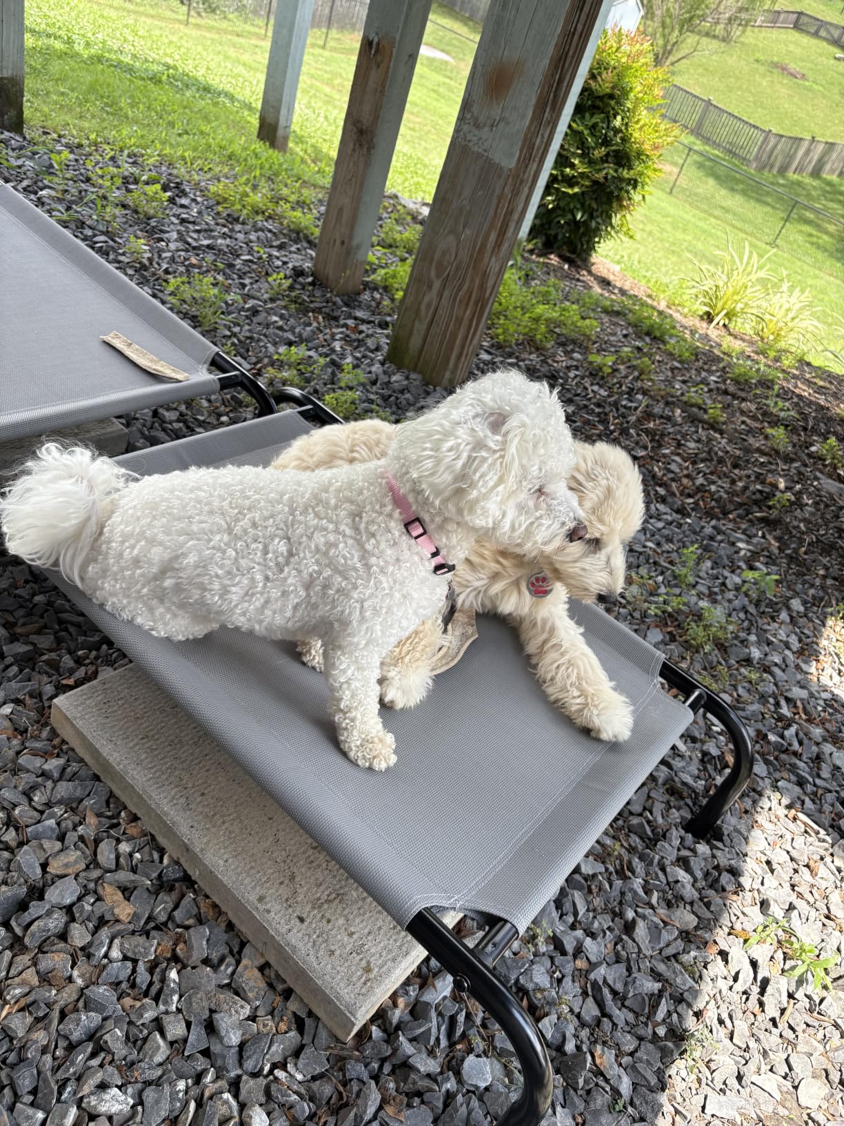 Amazon Basics Cooling Breathable Elevated Dog Bed with Metal Frame for Large Dogs, 51
