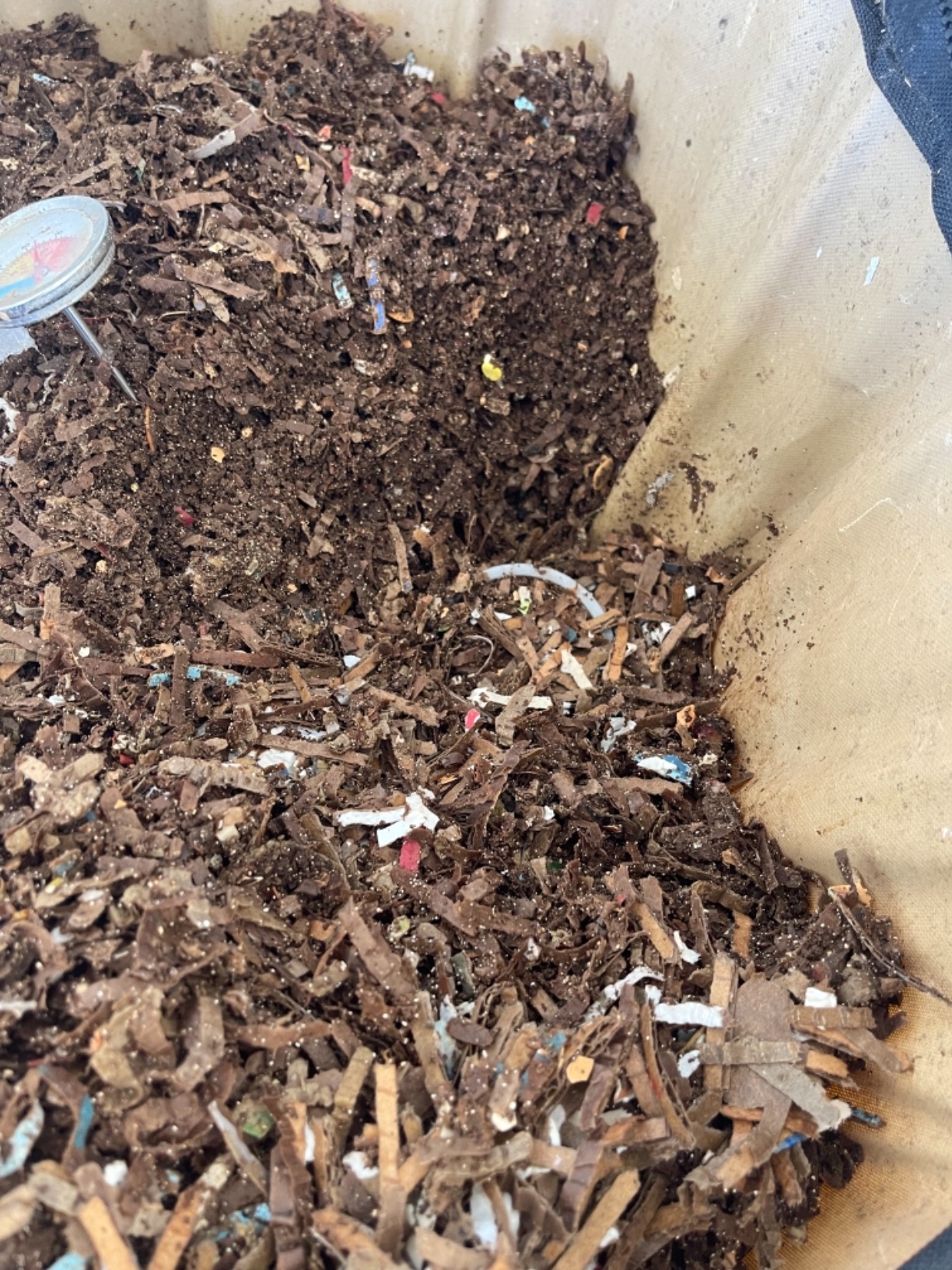 Urban Worm Bag Worm Composting Bin Version 2 - Easy Harvest with Fully Removable Zipper-Free Bottom customer photo 1