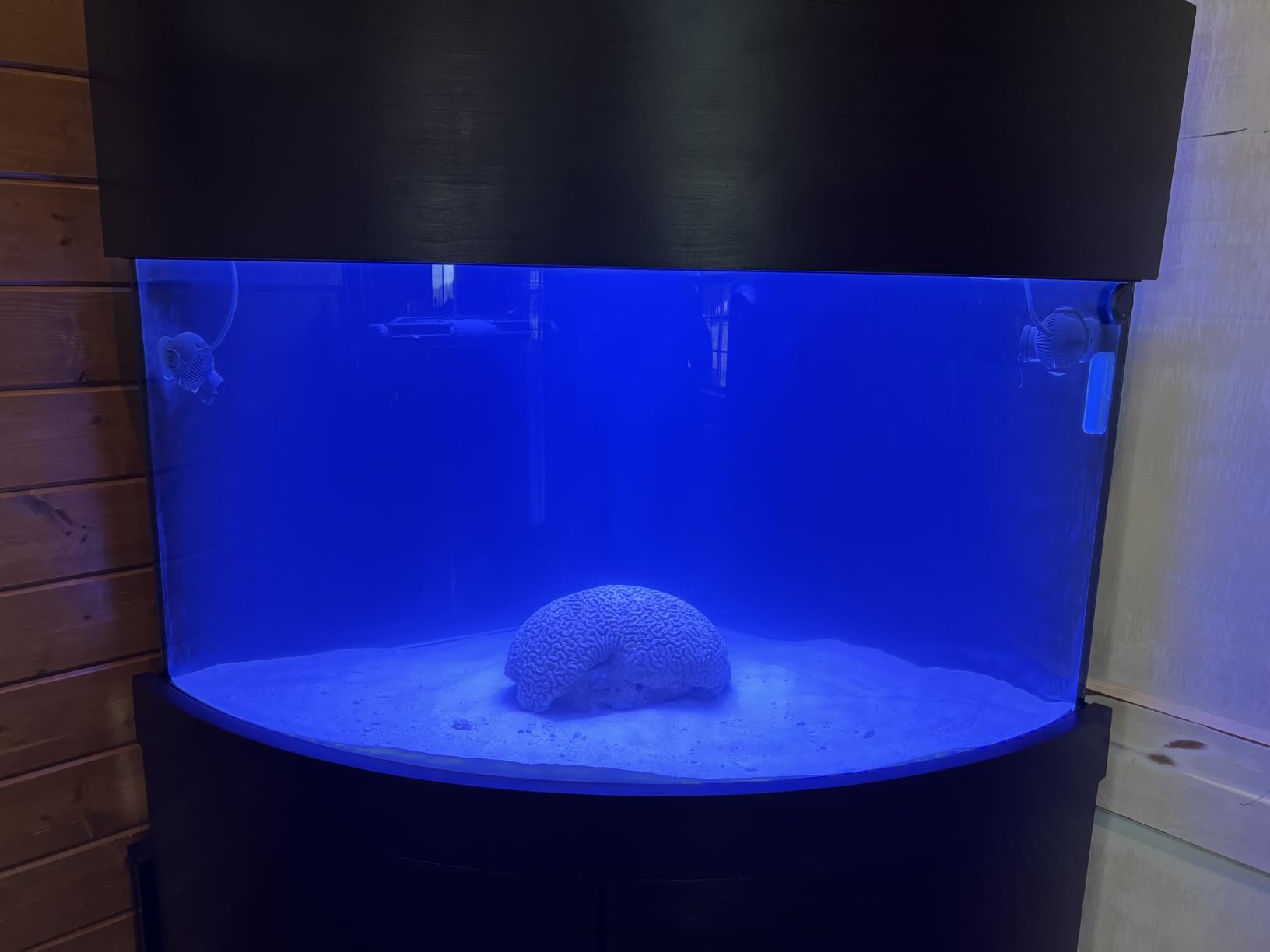 VIPARSPECTRA 165W LED Aquarium Light Dimmable Full Spectrum LED Reef Lights | LED Lamps for Coral Saltwater Fish Tank, Remote/Timer Control, Programmable Auto On/Off, Dual Channel Brightness 0-100% customer photo 1