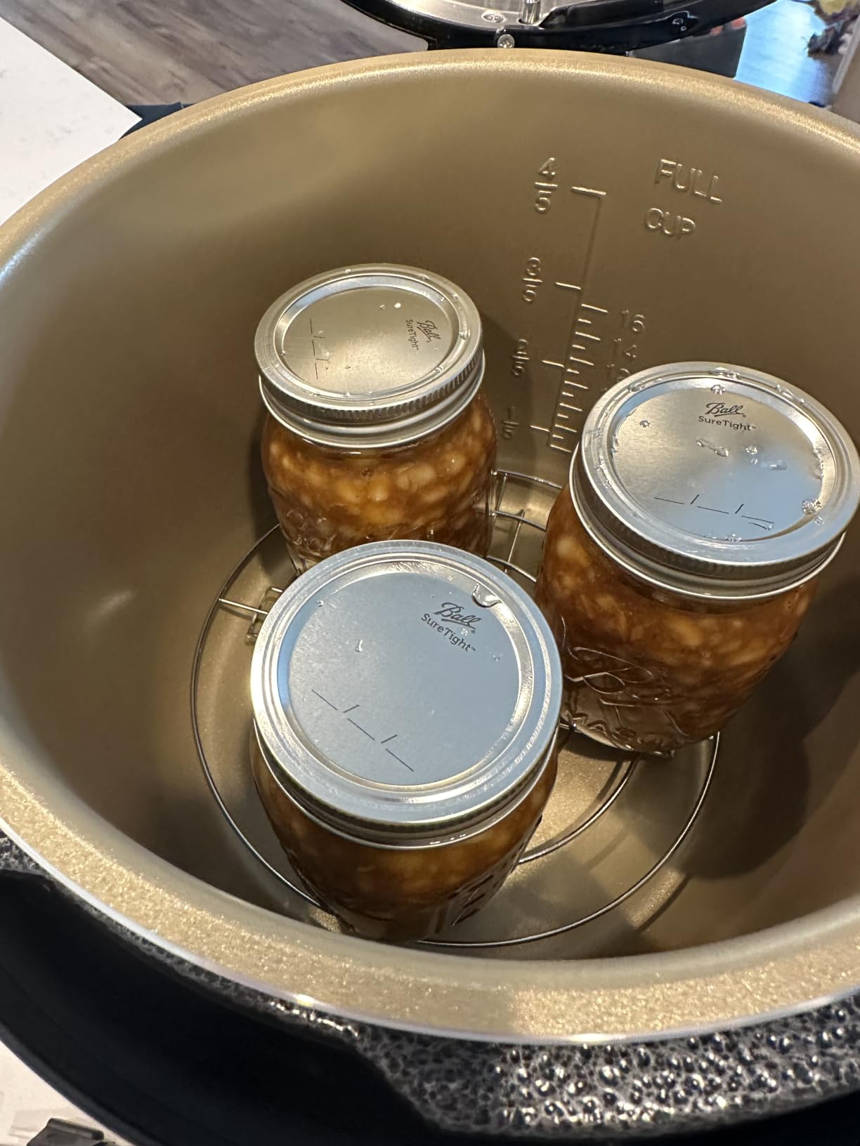 NESCO NPC-9 Smart Electric Pressure Canner and Cooker for Home Food Preservation, 9.5-Quart Stainless Steel customer photo 1